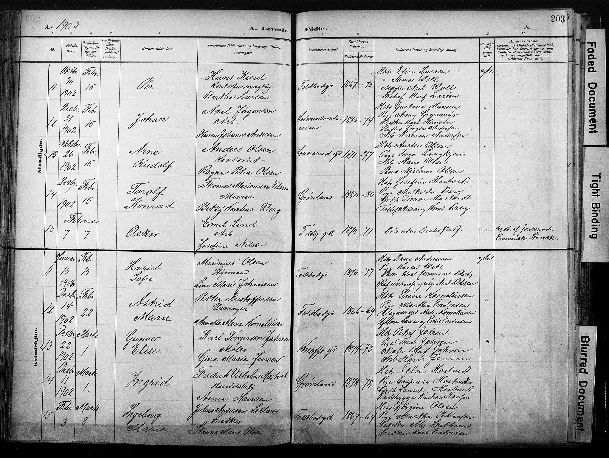 Strømsø kirkebøker, SAKO/A-246/G/Ga/L0003: Parish register (copy) no. 3, 1894-1904, p. 203