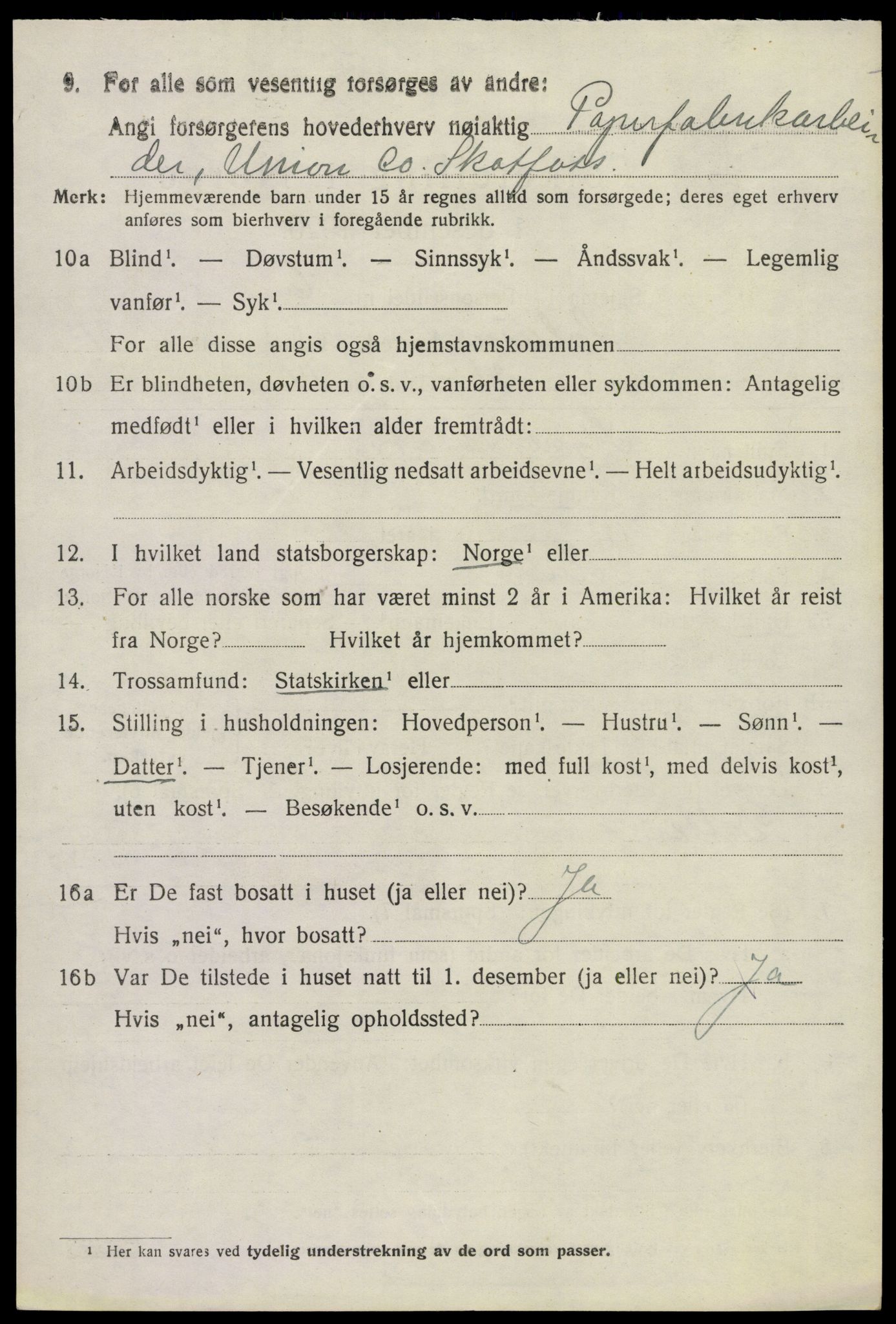 SAKO, 1920 census for Solum, 1920, p. 16163