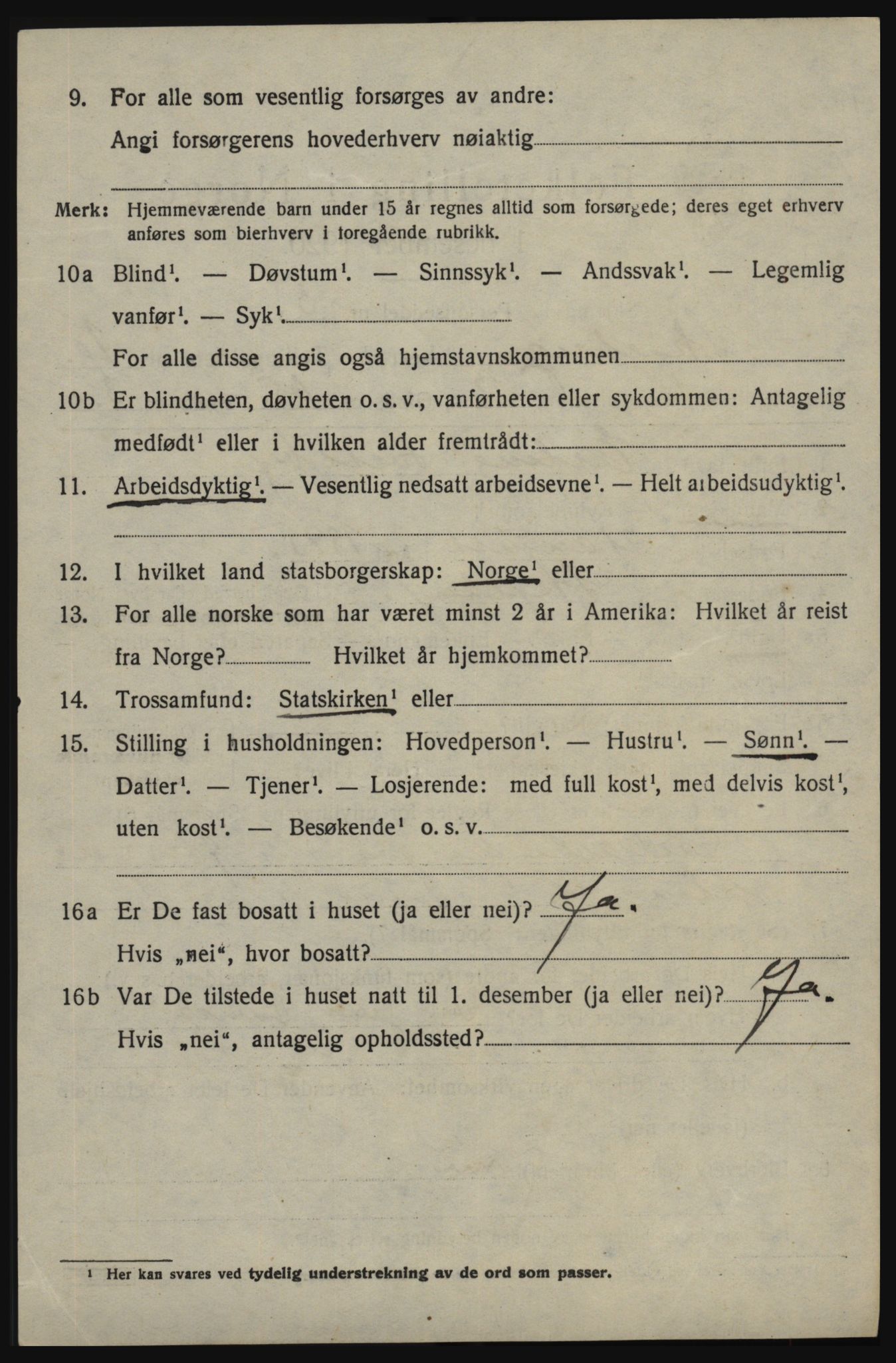 SAO, 1920 census for Skjeberg, 1920, p. 9372