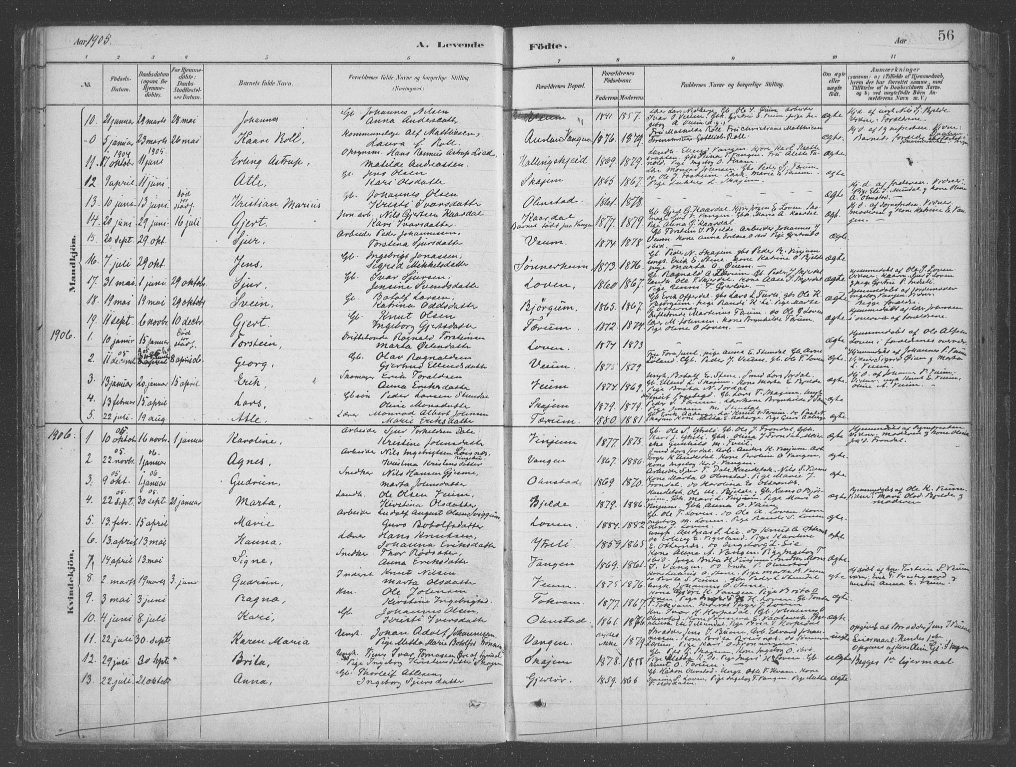 Aurland sokneprestembete, AV/SAB-A-99937/H/Ha/Hab/L0001: Parish register (official) no. B  1, 1880-1909, p. 56