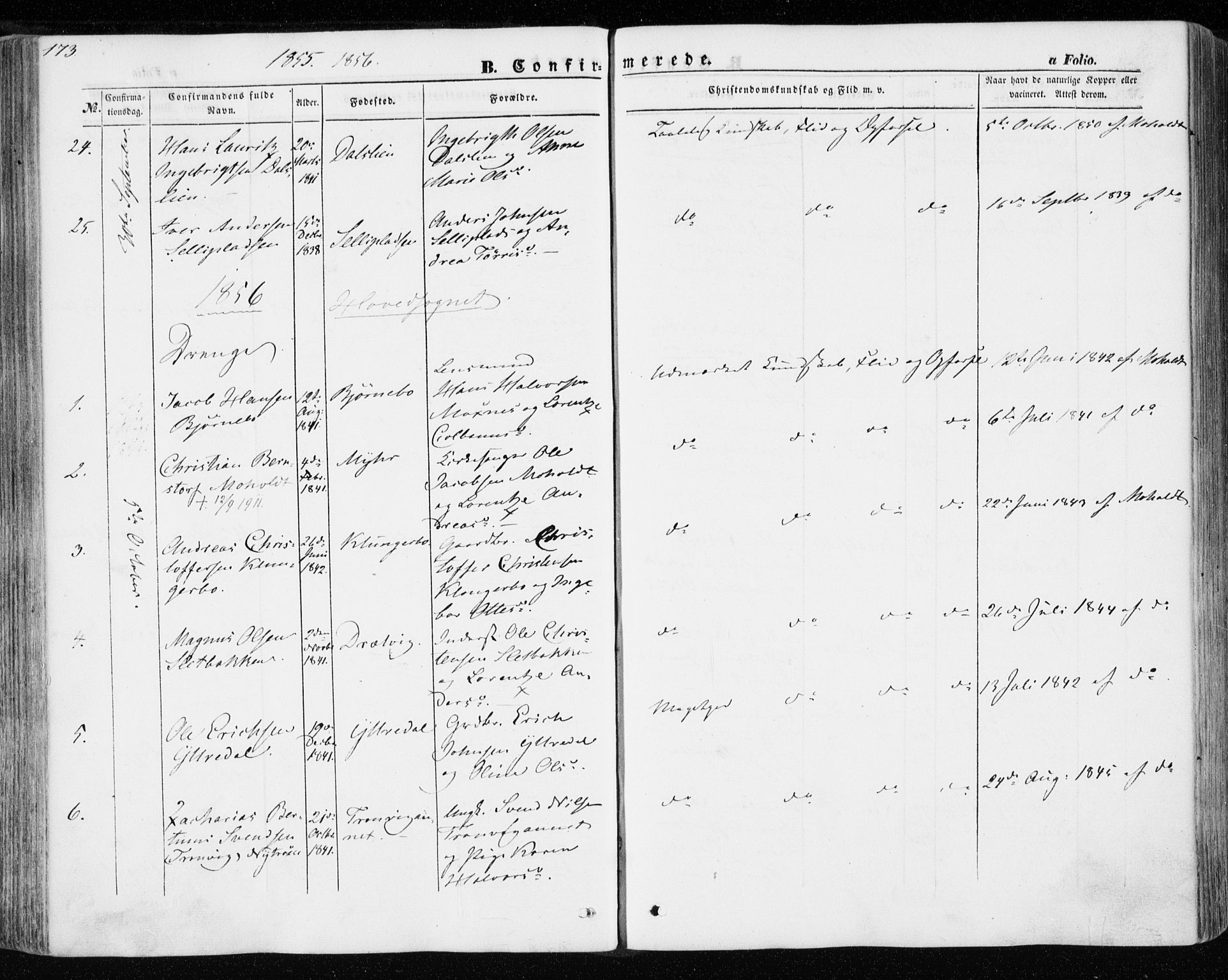 Ministerialprotokoller, klokkerbøker og fødselsregistre - Nord-Trøndelag, AV/SAT-A-1458/701/L0008: Parish register (official) no. 701A08 /1, 1854-1863, p. 173