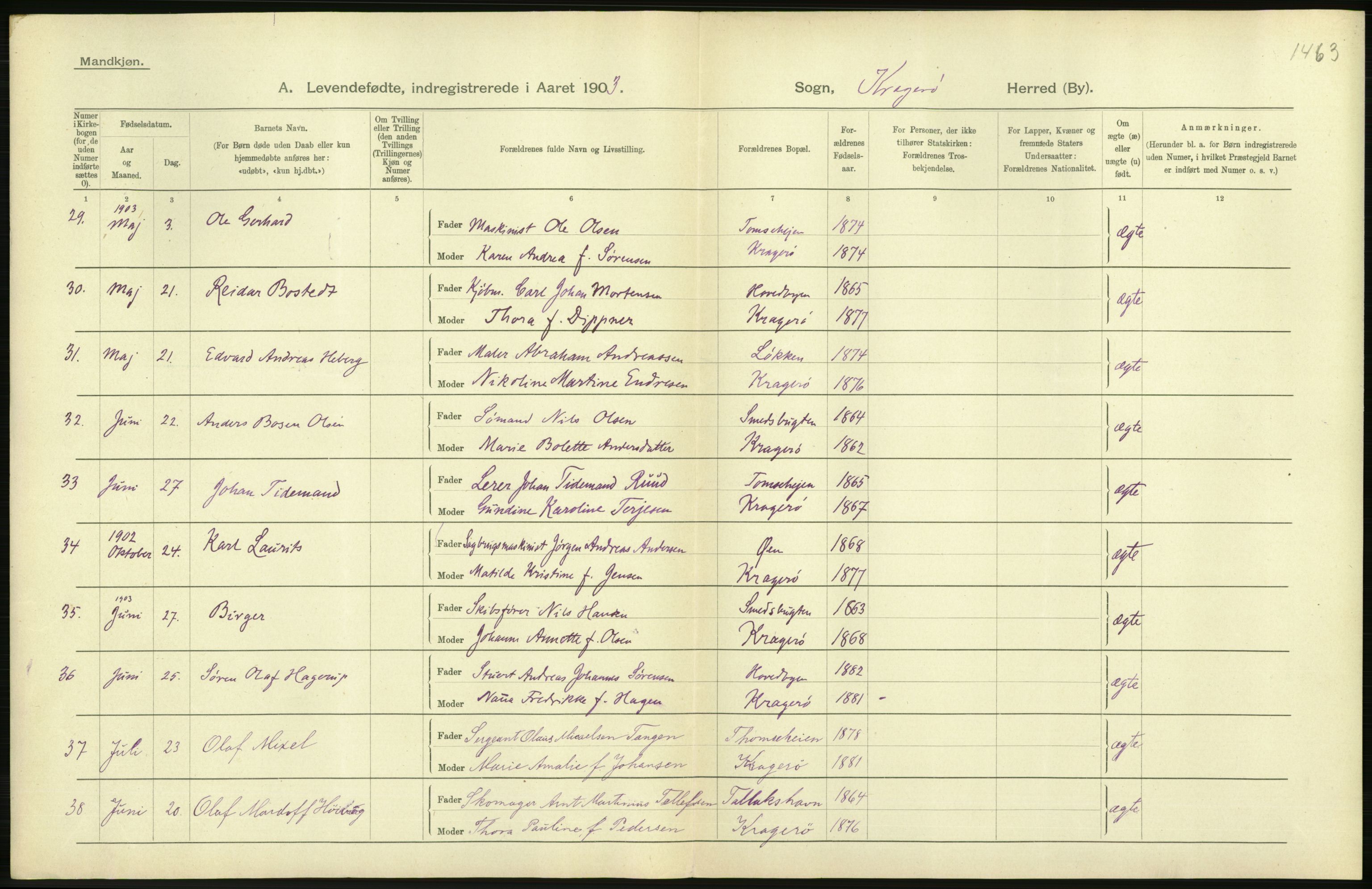 Statistisk sentralbyrå, Sosiodemografiske emner, Befolkning, AV/RA-S-2228/D/Df/Dfa/Dfaa/L0009: Bratsberg amt: Fødte, gifte, døde, 1903, p. 346