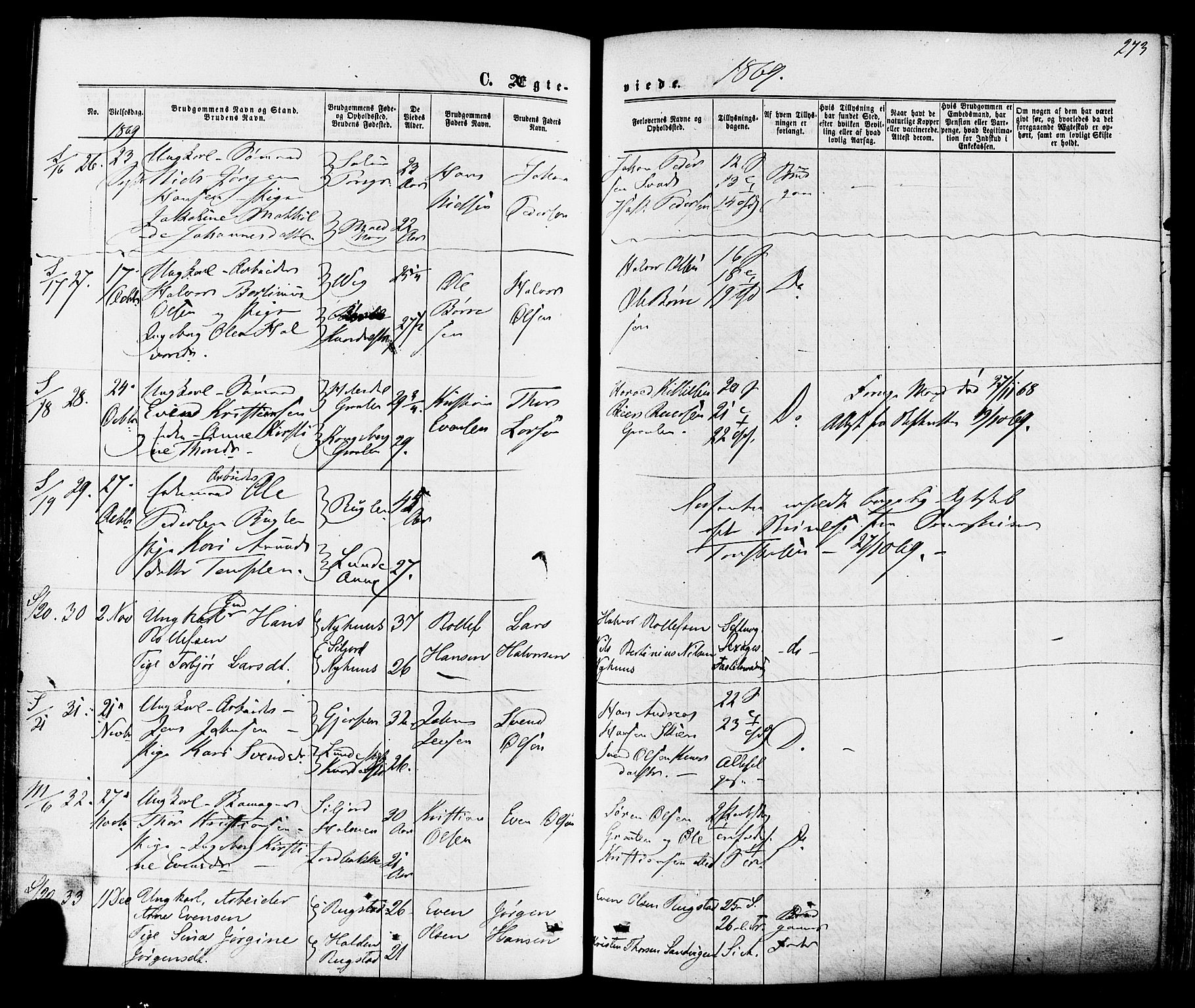Solum kirkebøker, SAKO/A-306/F/Fa/L0008: Parish register (official) no. I 8, 1865-1876, p. 273