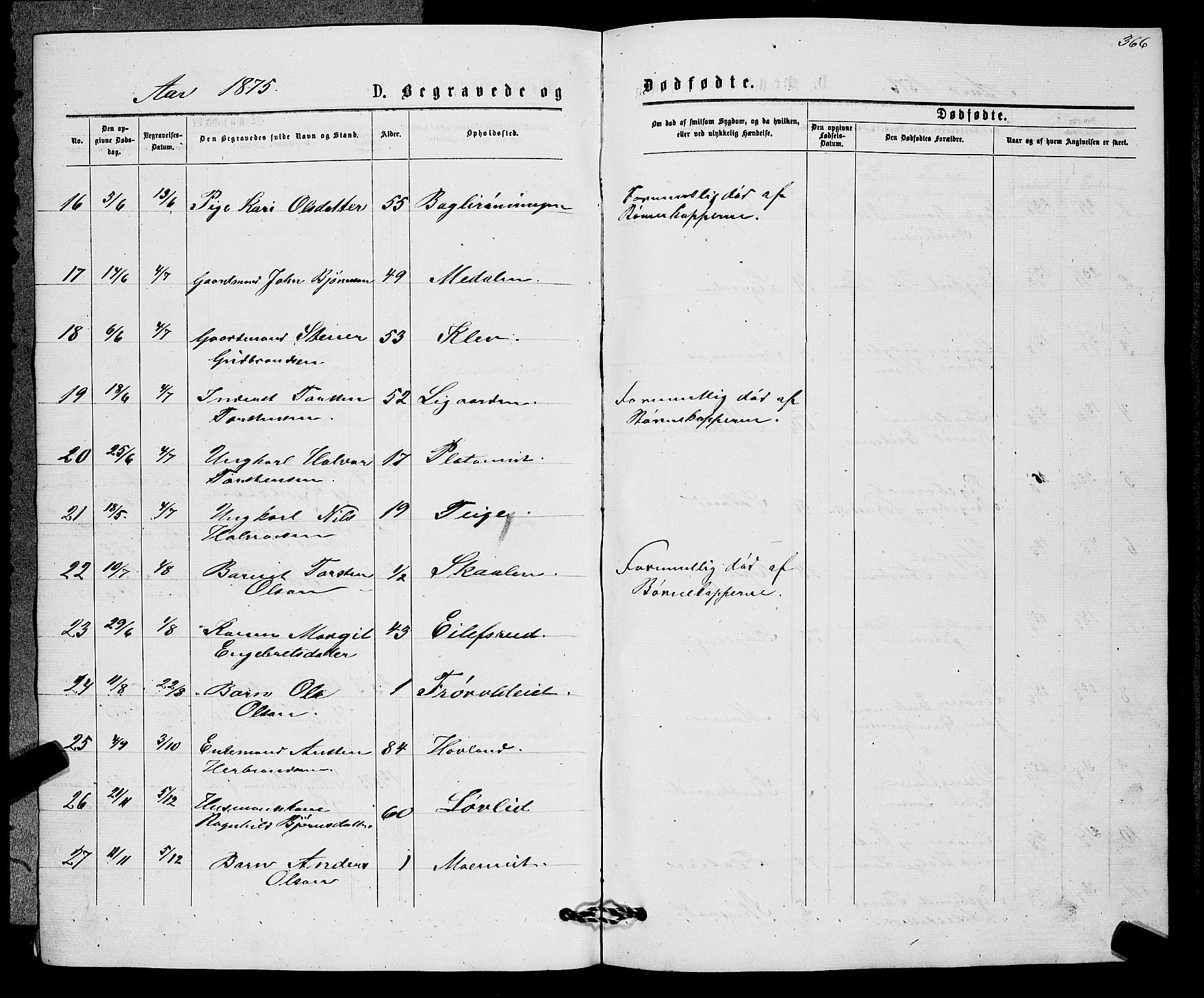 Sigdal kirkebøker, SAKO/A-245/G/Gb/L0002: Parish register (copy) no. II 2, 1875-1900, p. 366