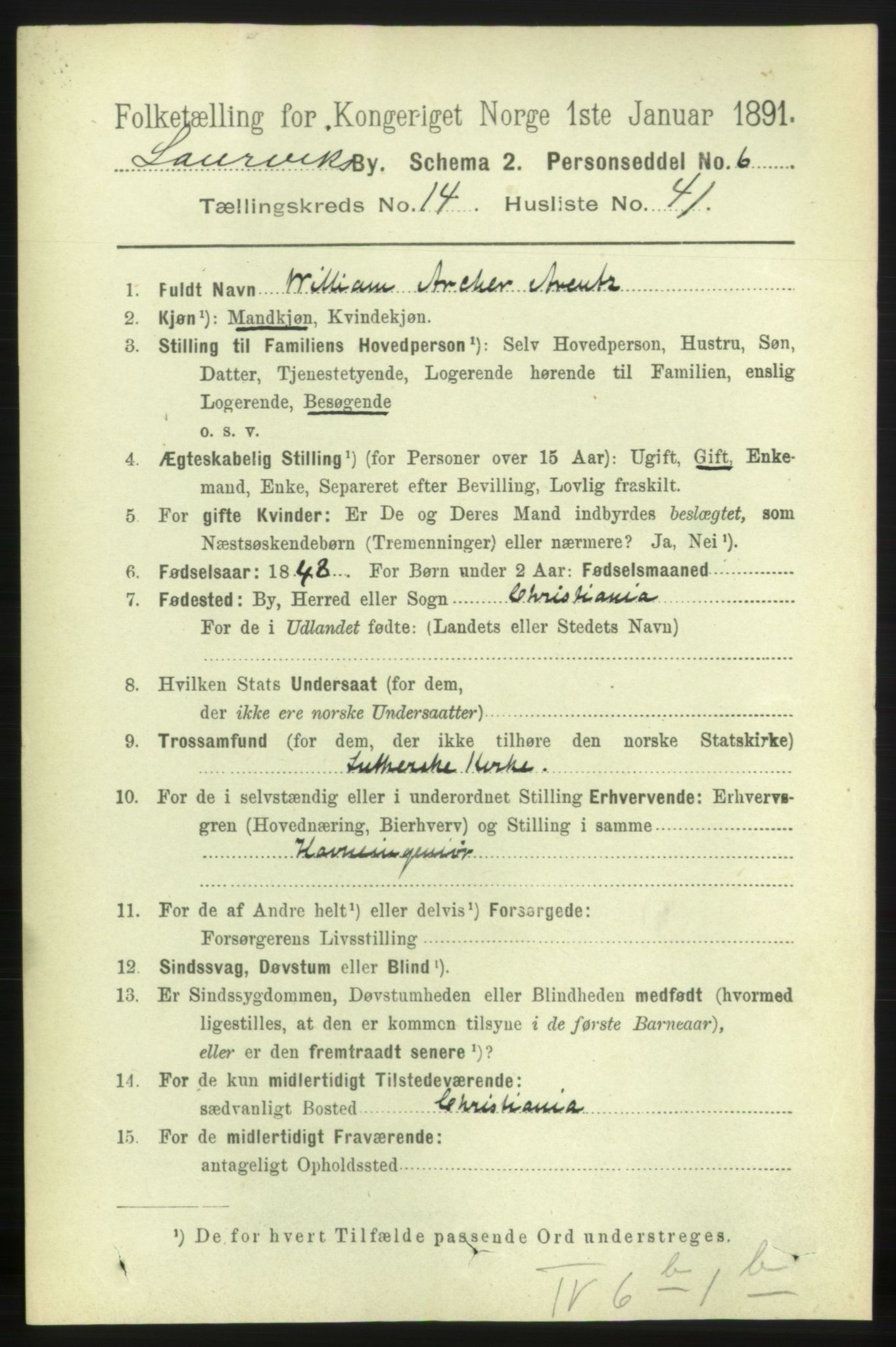 RA, 1891 census for 0707 Larvik, 1891, p. 11309