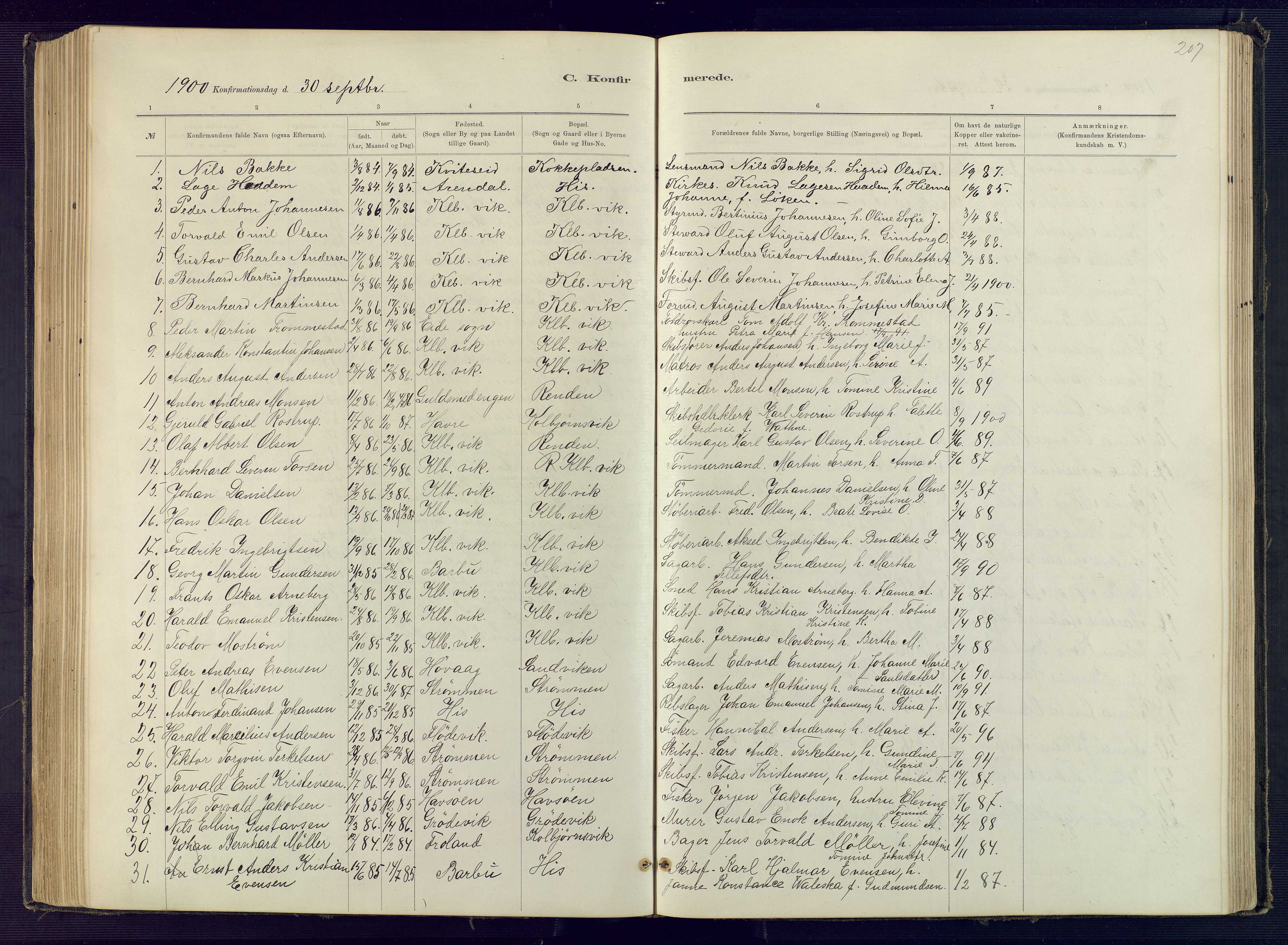 Hisøy sokneprestkontor, SAK/1111-0020/F/Fb/L0003: Parish register (copy) no. B 3, 1885-1905, p. 207