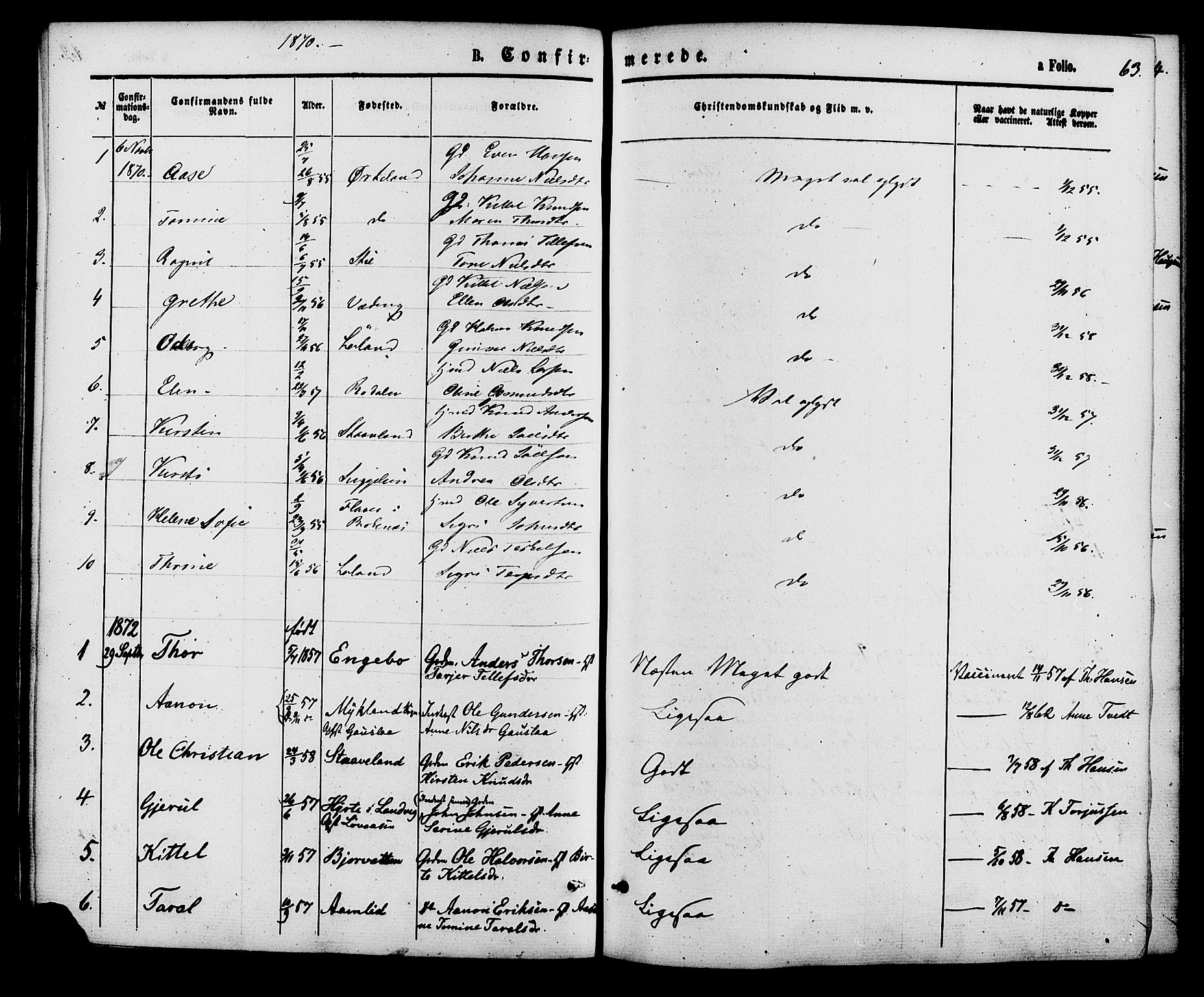 Herefoss sokneprestkontor, AV/SAK-1111-0019/F/Fa/Faa/L0002: Parish register (official) no. A 2, 1861-1886, p. 63