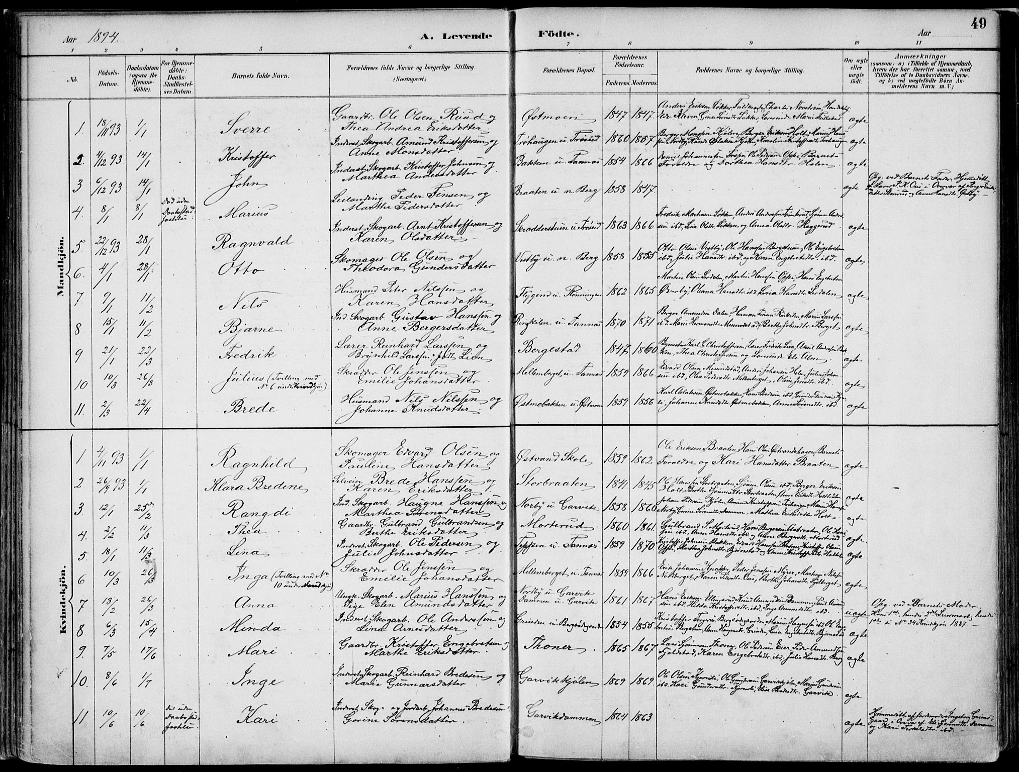 Nord-Odal prestekontor, SAH/PREST-032/H/Ha/Haa/L0008: Parish register (official) no. 8, 1886-1901, p. 49