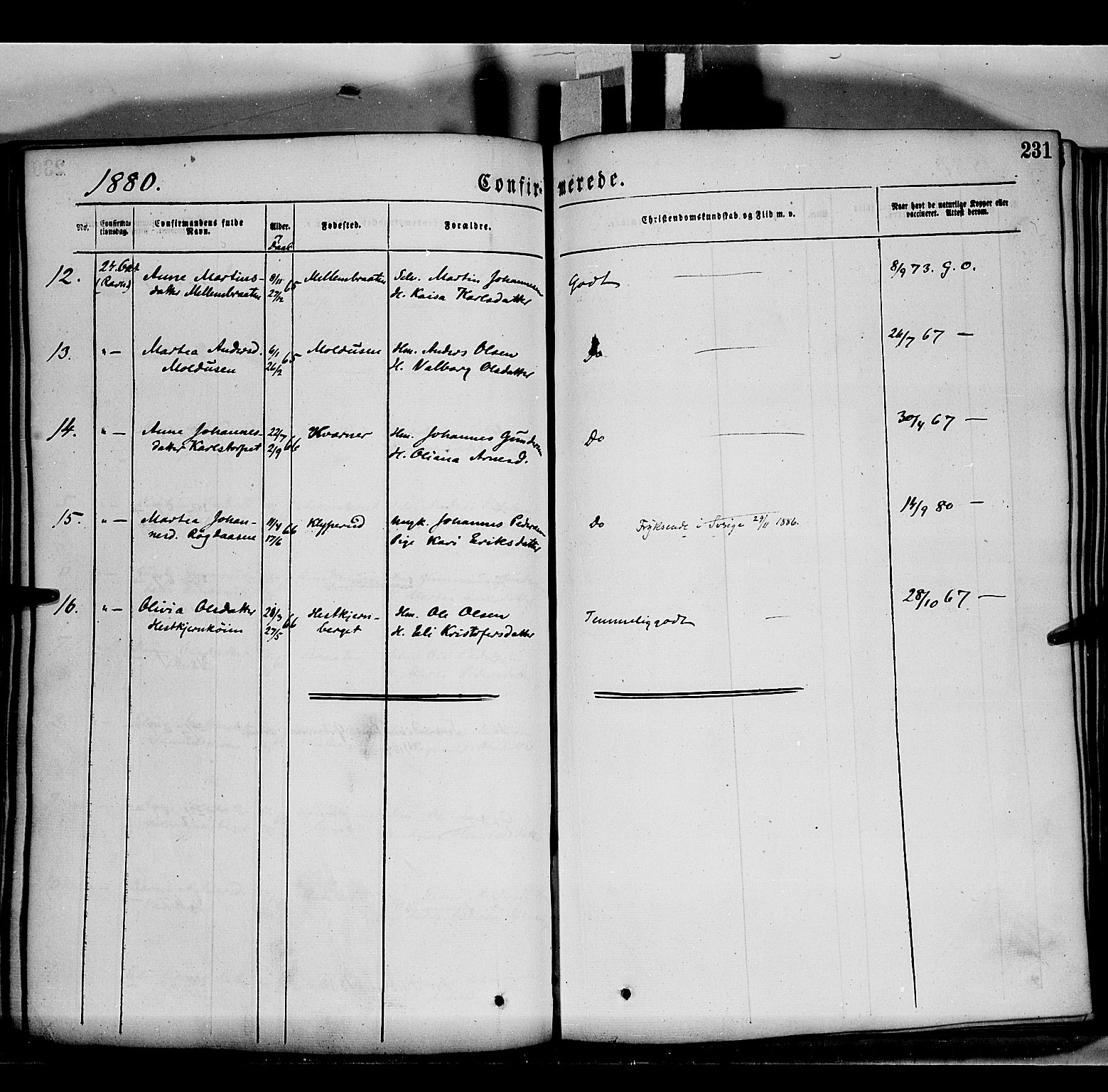 Grue prestekontor, AV/SAH-PREST-036/H/Ha/Haa/L0011: Parish register (official) no. 11, 1873-1880, p. 231