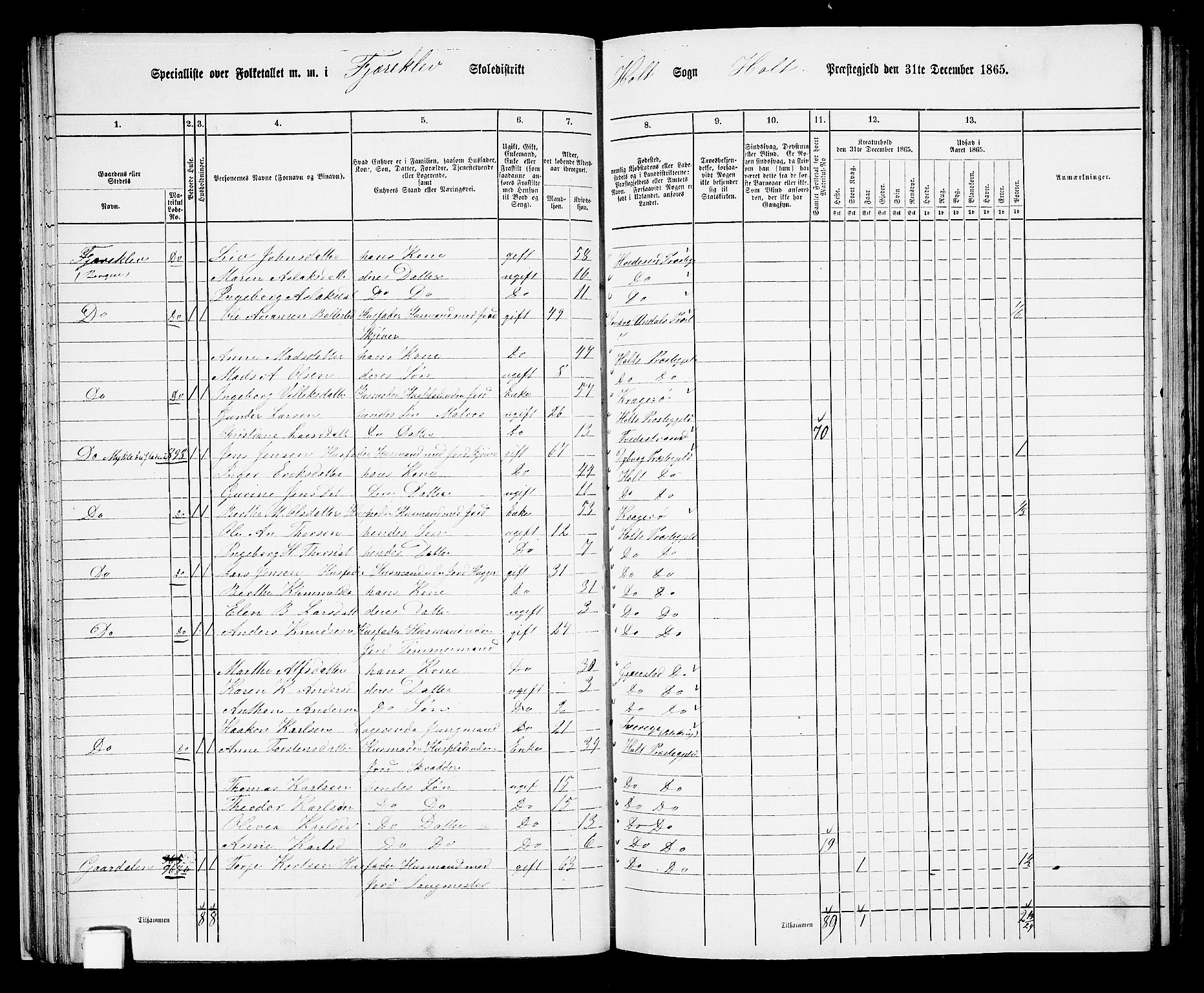 RA, 1865 census for Holt/Holt, 1865, p. 44