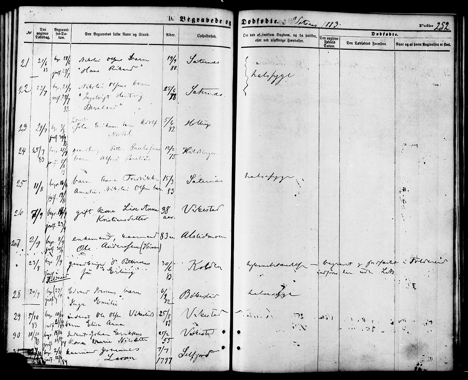 Ministerialprotokoller, klokkerbøker og fødselsregistre - Nordland, AV/SAT-A-1459/810/L0148: Parish register (official) no. 810A09 /1, 1874-1884, p. 252