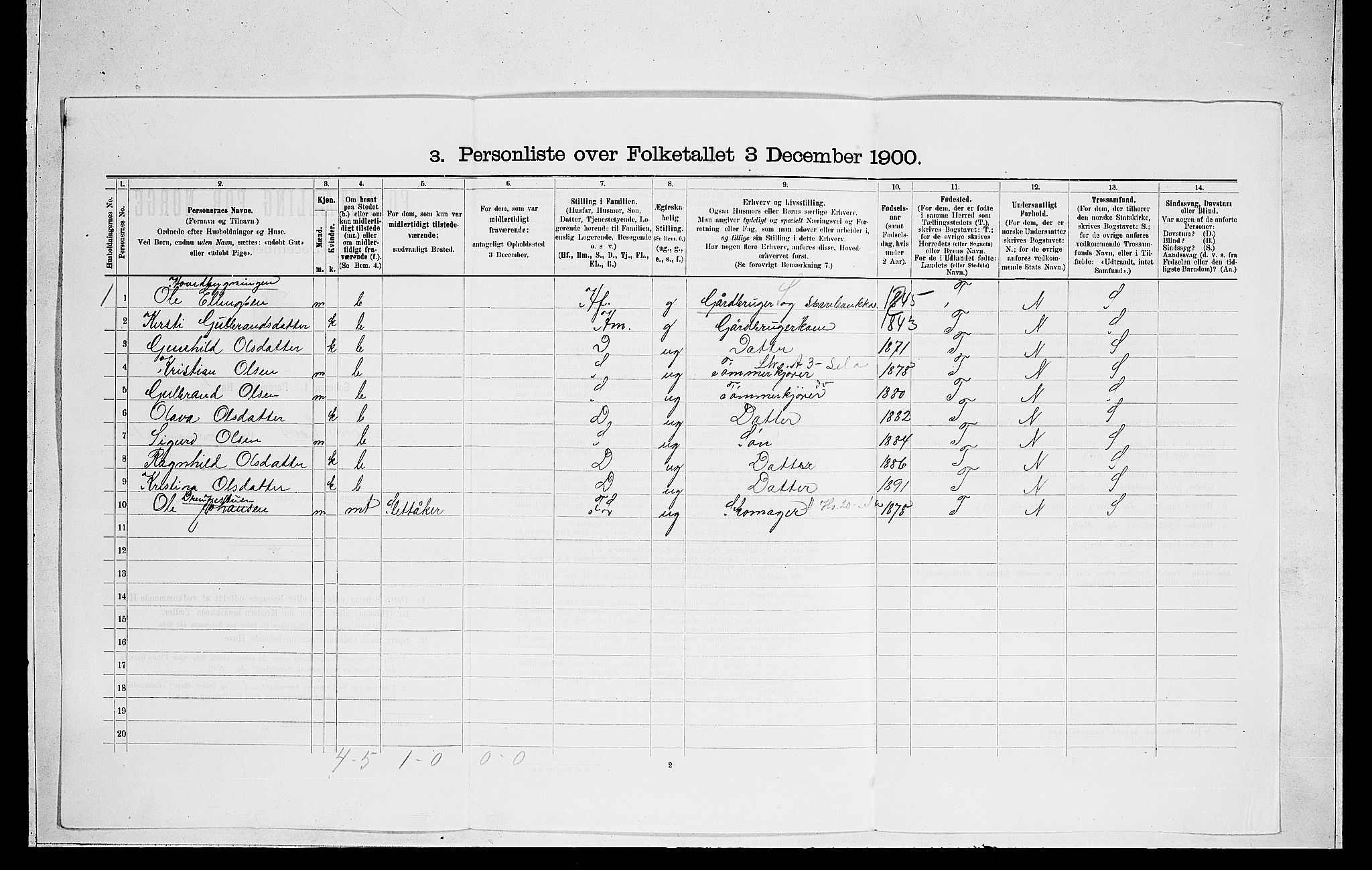 RA, 1900 census for Norderhov, 1900, p. 2719