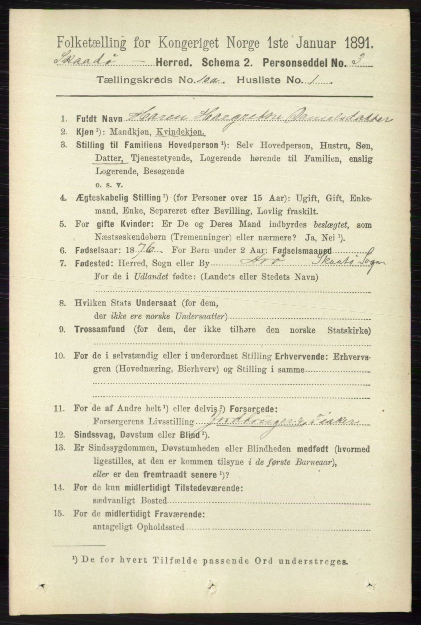 RA, 1891 census for 0815 Skåtøy, 1891, p. 4034