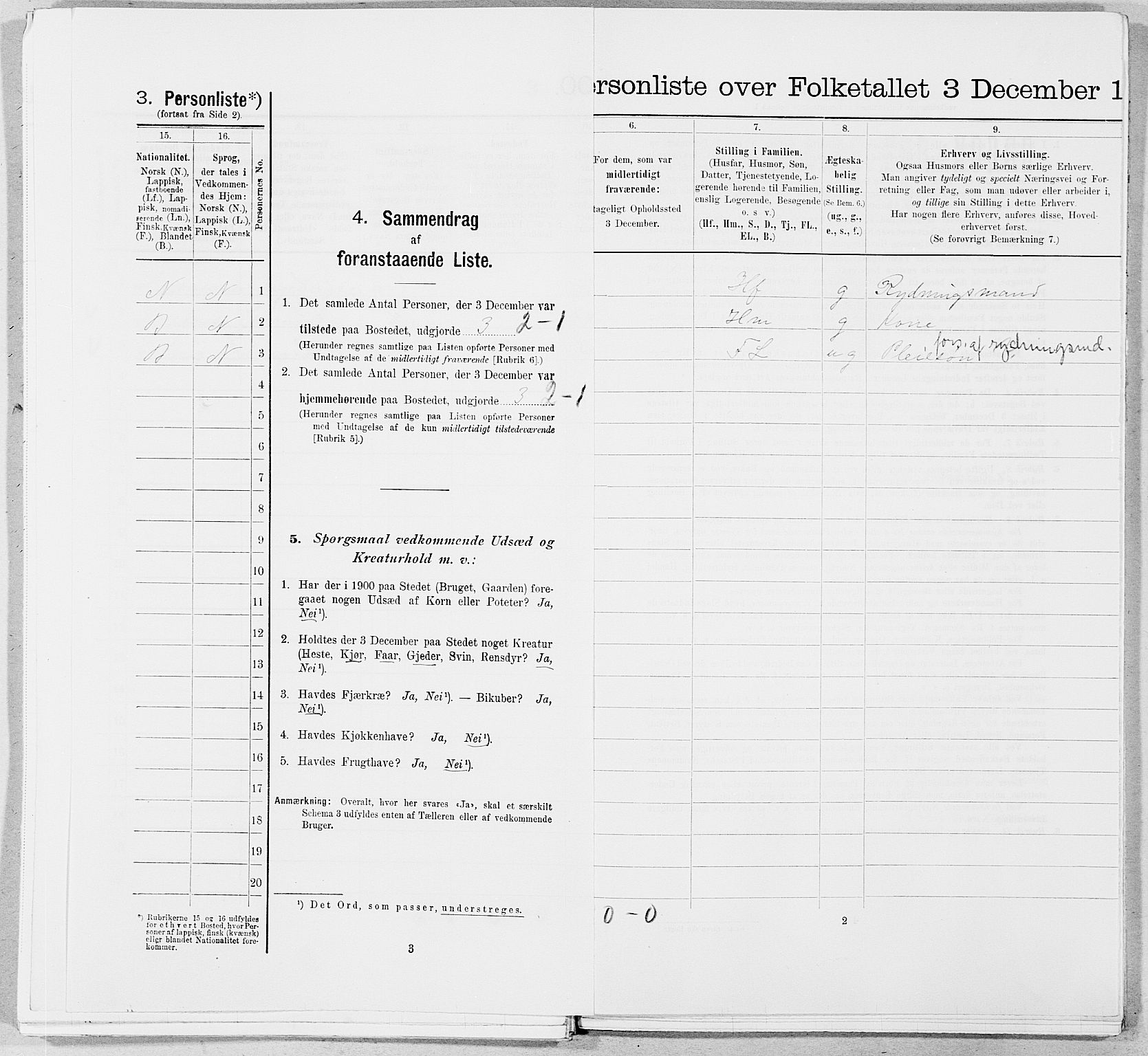 SAT, 1900 census for Hattfjelldal, 1900, p. 199