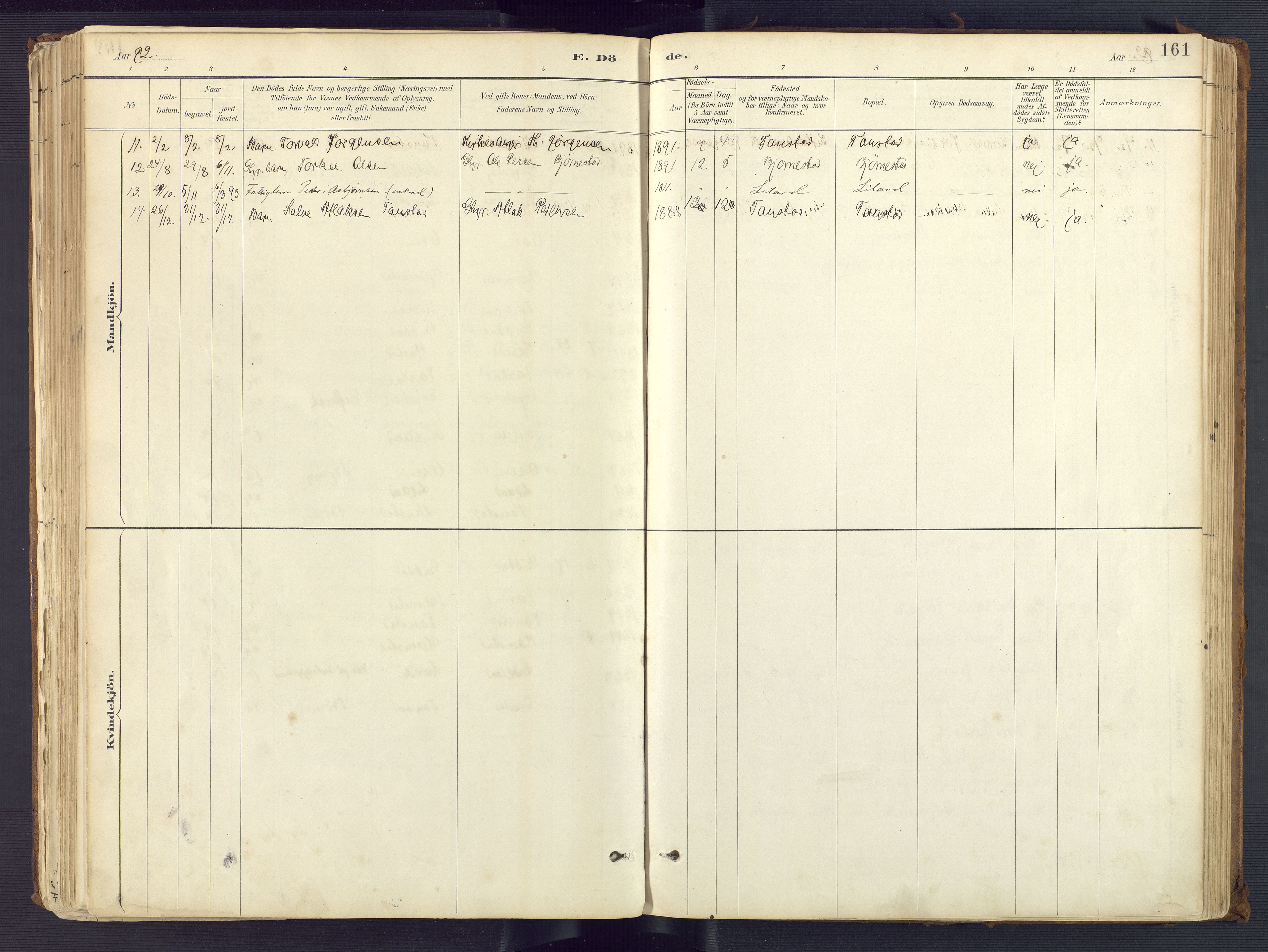 Sirdal sokneprestkontor, SAK/1111-0036/F/Fa/Fab/L0004: Parish register (official) no. A 4, 1887-1919, p. 161