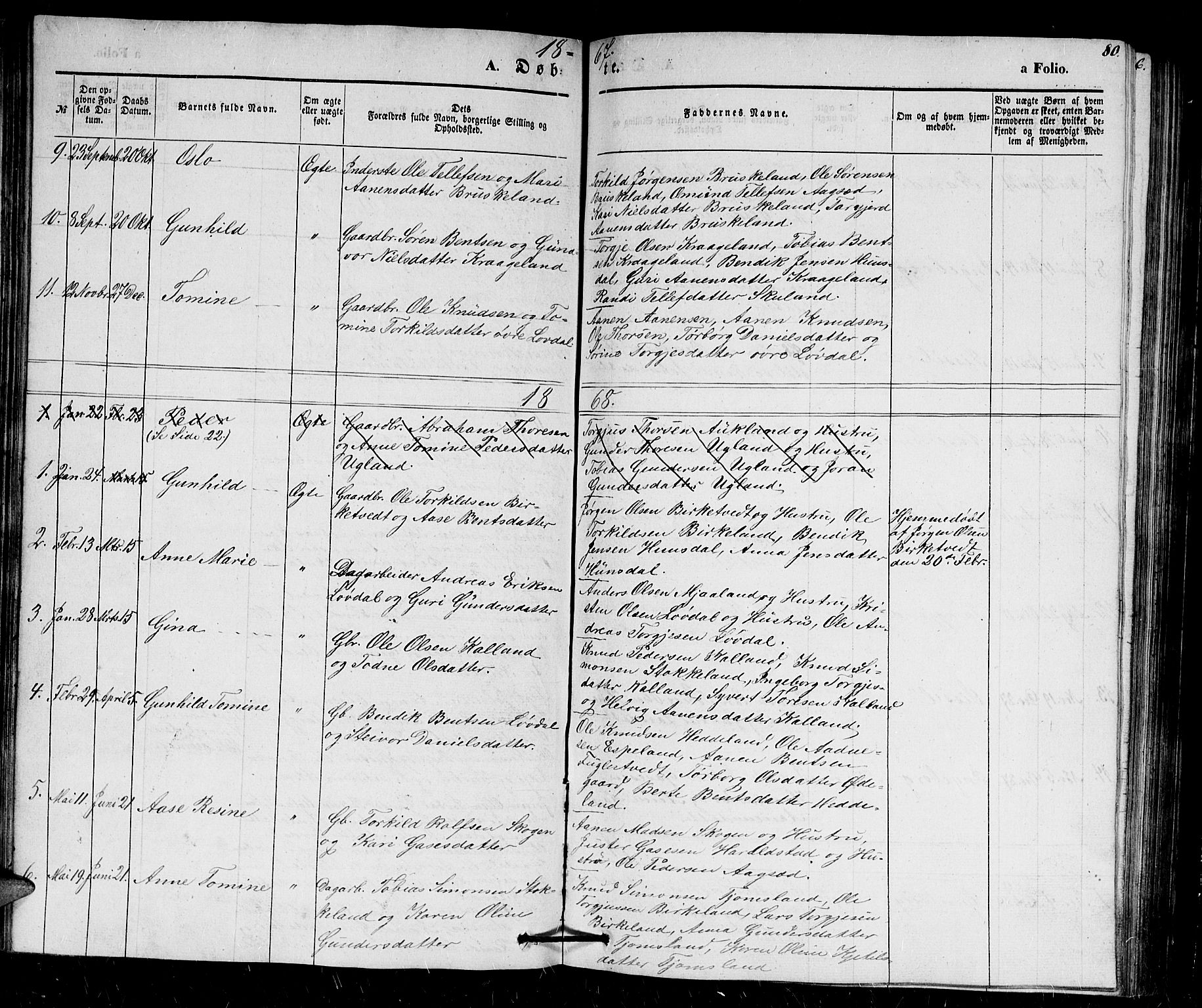 Holum sokneprestkontor, AV/SAK-1111-0022/F/Fb/Fbb/L0002: Parish register (copy) no. B 2, 1847-1874, p. 80