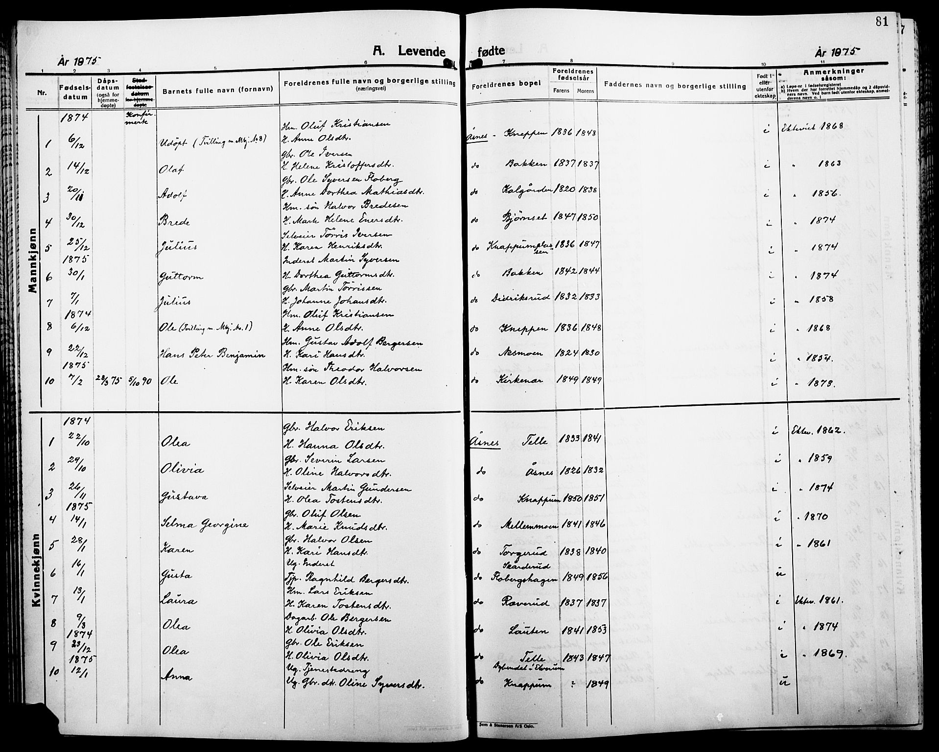 Åsnes prestekontor, AV/SAH-PREST-042/H/Ha/Haa/L0000B: Parish register (official), 1870-1889, p. 81