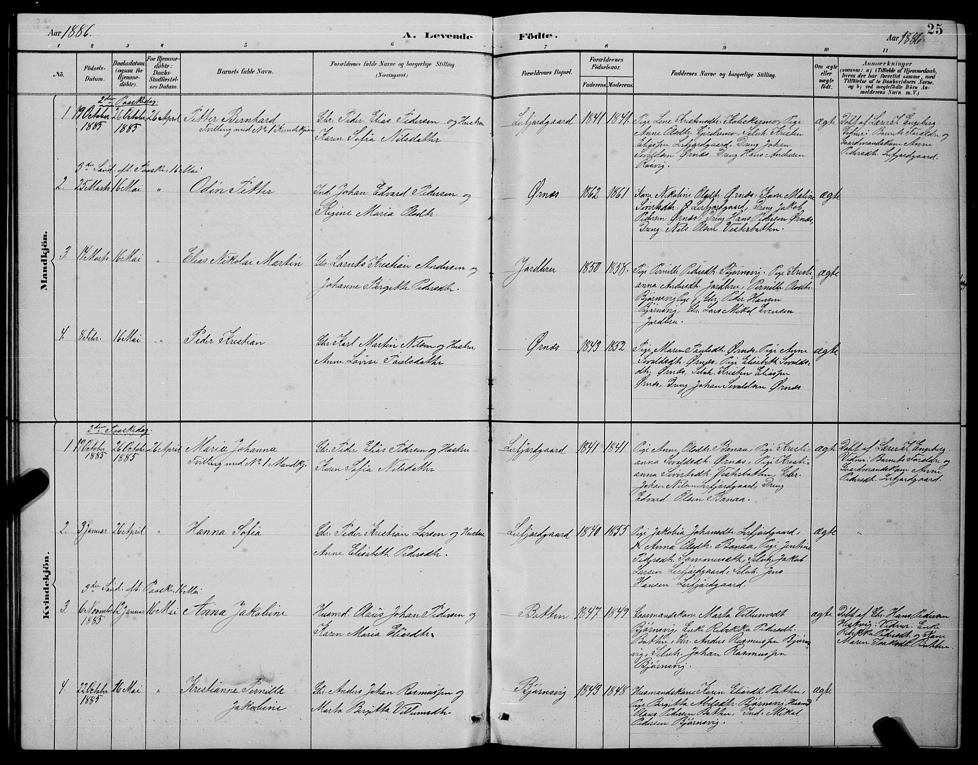 Ministerialprotokoller, klokkerbøker og fødselsregistre - Nordland, AV/SAT-A-1459/854/L0785: Parish register (copy) no. 854C01, 1883-1891, p. 25