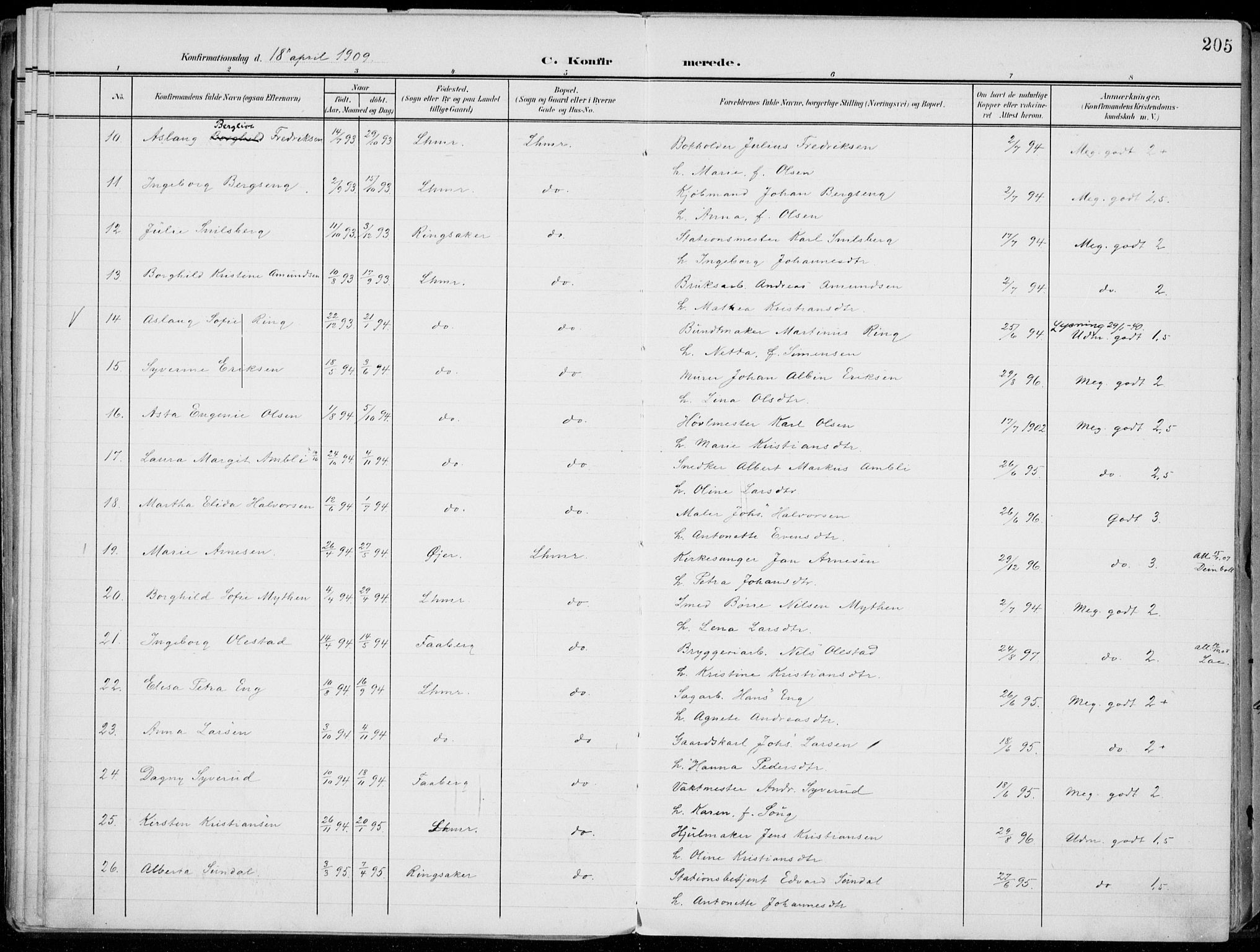 Lillehammer prestekontor, SAH/PREST-088/H/Ha/Haa/L0001: Parish register (official) no. 1, 1901-1916, p. 205