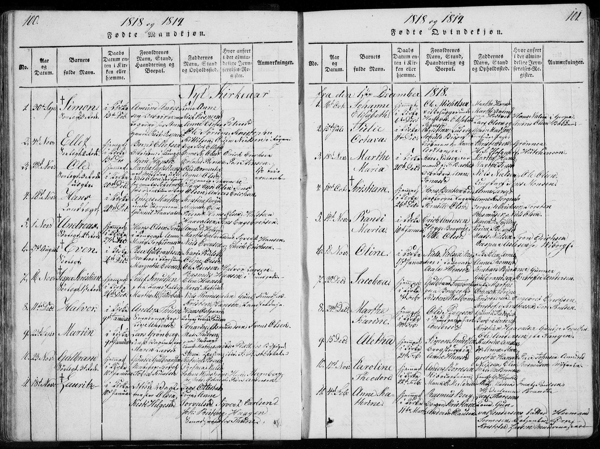 Bragernes kirkebøker, SAKO/A-6/F/Fa/L0007: Parish register (official) no. I 7, 1815-1829, p. 100-101