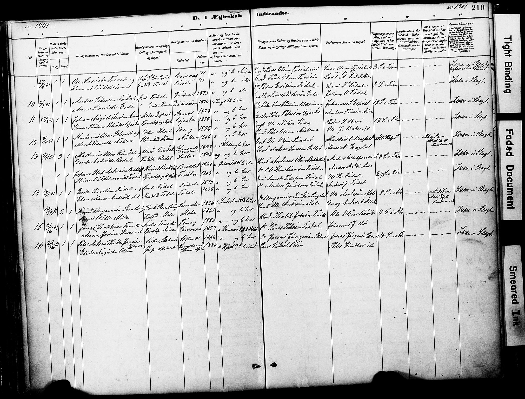 Ministerialprotokoller, klokkerbøker og fødselsregistre - Møre og Romsdal, AV/SAT-A-1454/578/L0907: Parish register (official) no. 578A06, 1887-1904, p. 219