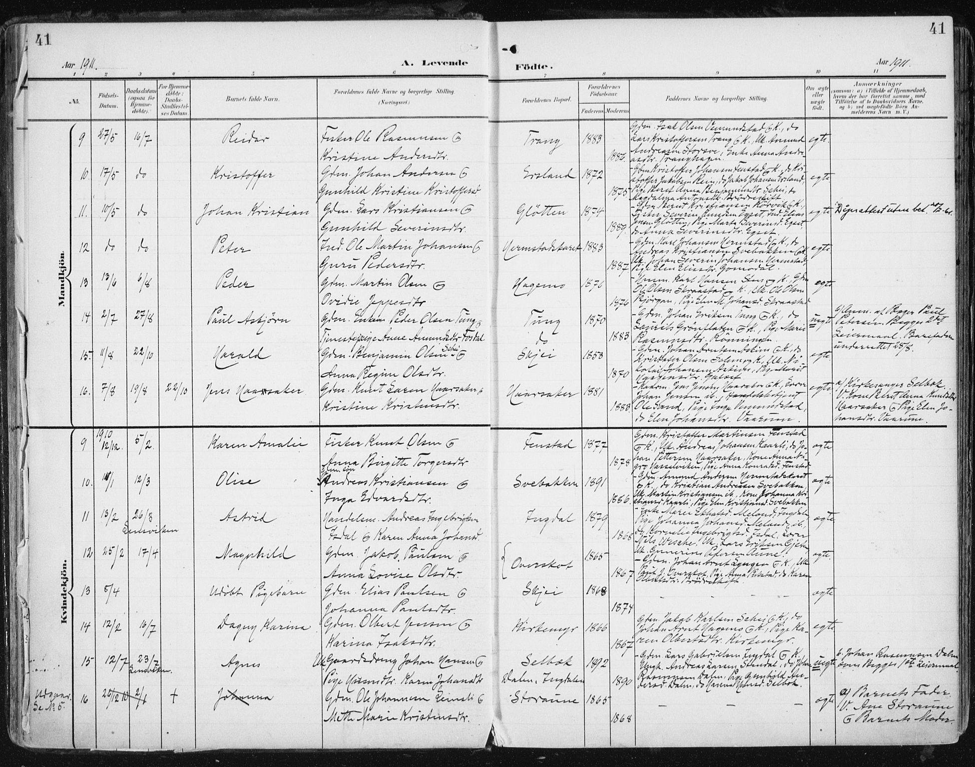 Ministerialprotokoller, klokkerbøker og fødselsregistre - Sør-Trøndelag, SAT/A-1456/646/L0616: Parish register (official) no. 646A14, 1900-1918, p. 41