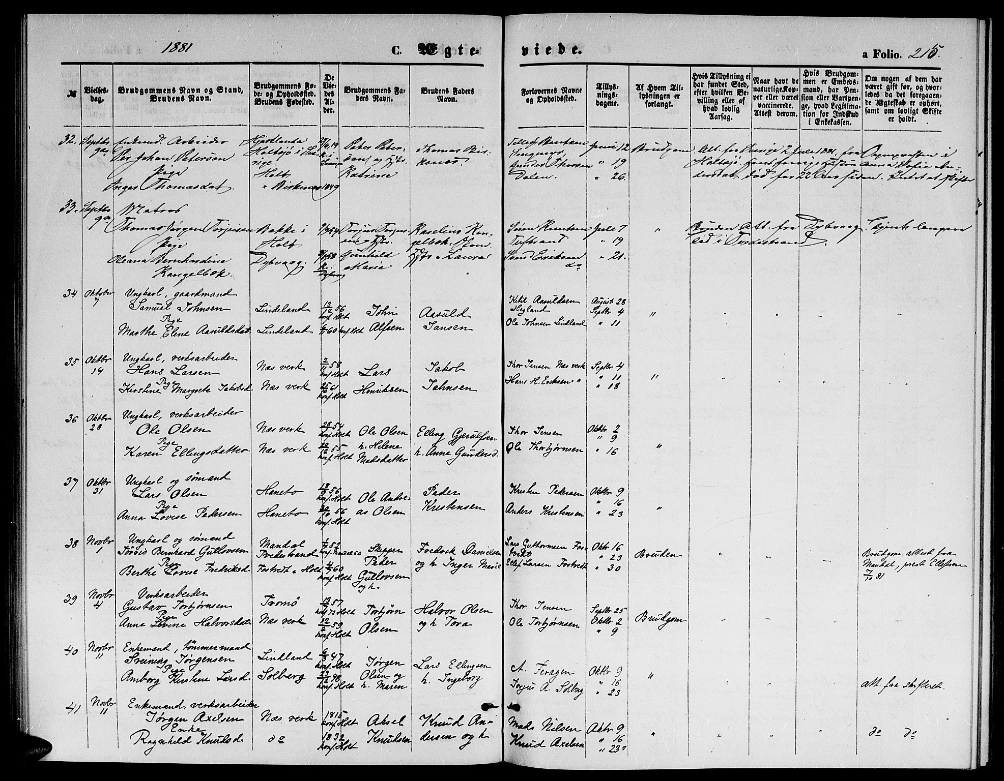 Holt sokneprestkontor, AV/SAK-1111-0021/F/Fb/L0009: Parish register (copy) no. B 9, 1871-1883, p. 215