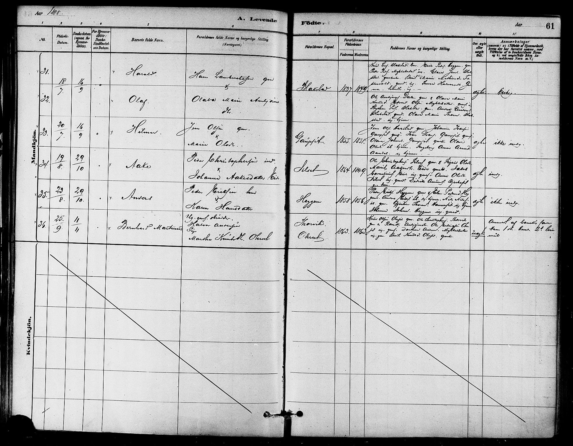 Ministerialprotokoller, klokkerbøker og fødselsregistre - Møre og Romsdal, AV/SAT-A-1454/584/L0967: Parish register (official) no. 584A07, 1879-1894, p. 61