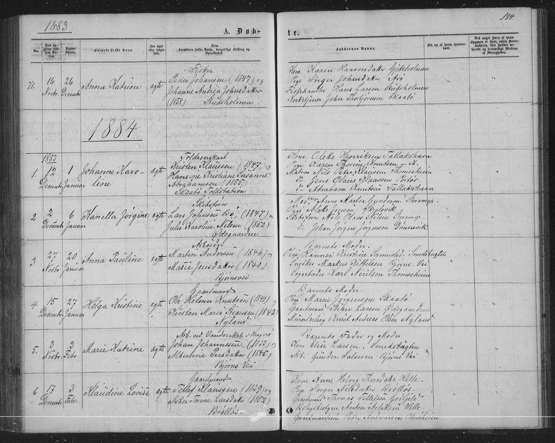 Skåtøy kirkebøker, SAKO/A-304/G/Ga/L0002: Parish register (copy) no. I 2, 1872-1884, p. 184