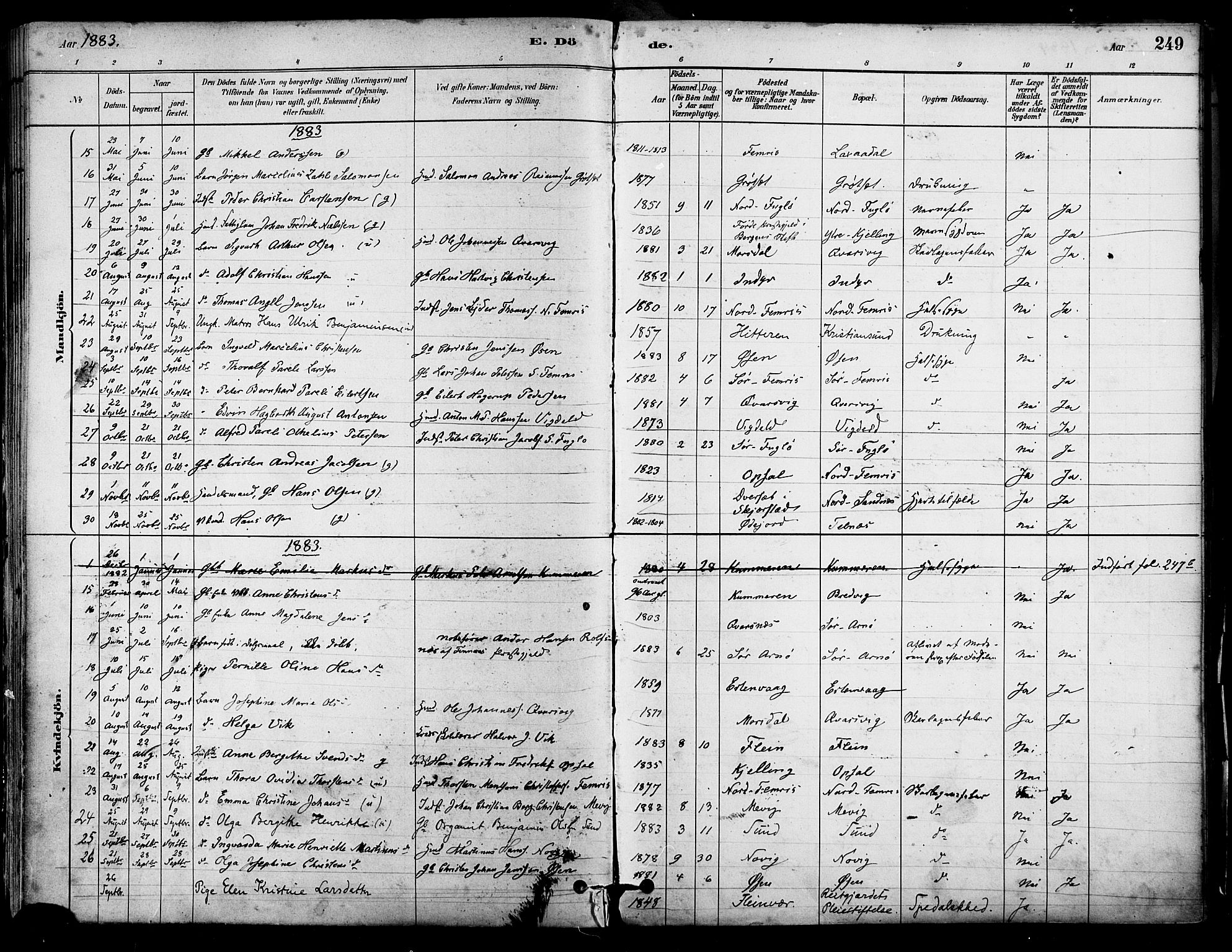 Ministerialprotokoller, klokkerbøker og fødselsregistre - Nordland, AV/SAT-A-1459/805/L0099: Parish register (official) no. 805A06, 1880-1891, p. 249