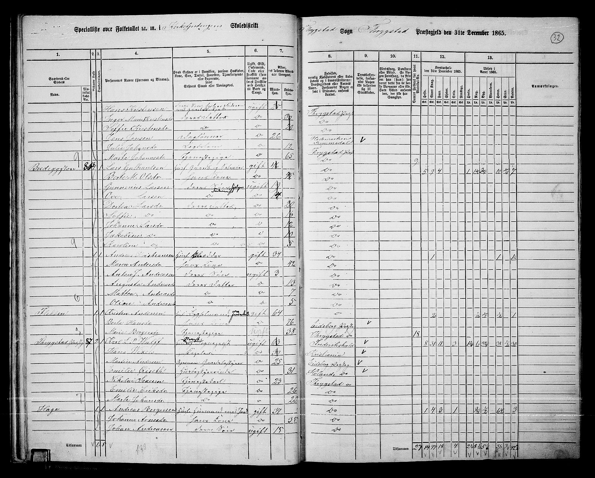 RA, 1865 census for Trøgstad, 1865, p. 31