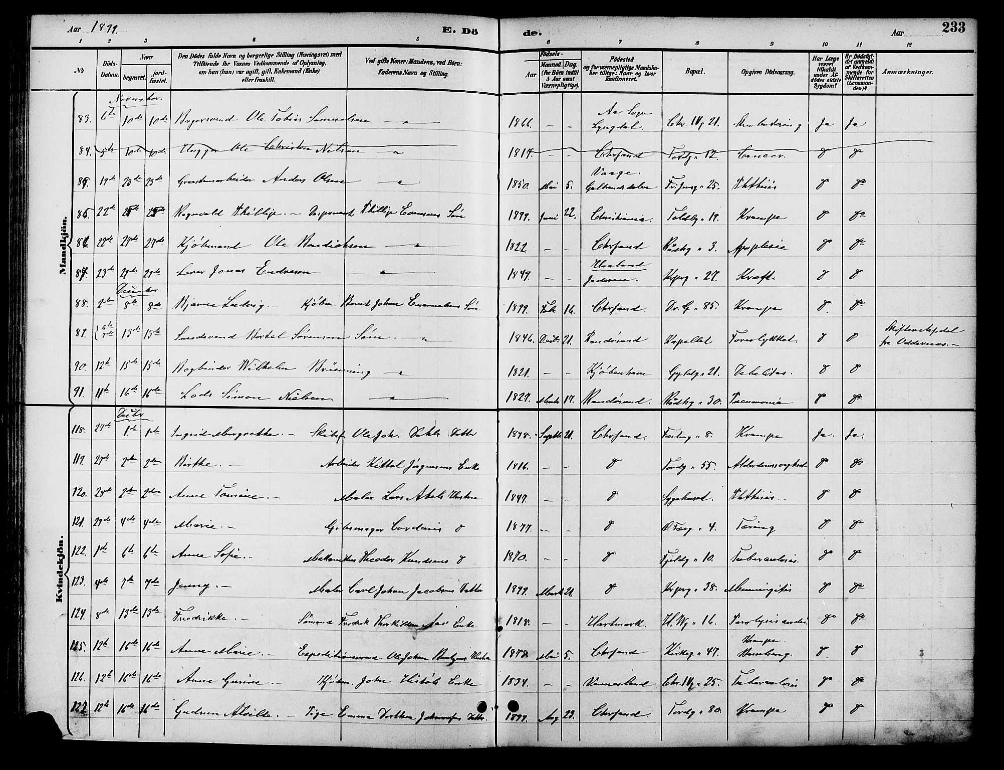 Kristiansand domprosti, SAK/1112-0006/F/Fb/L0017: Parish register (copy) no. B 17, 1893-1906, p. 233
