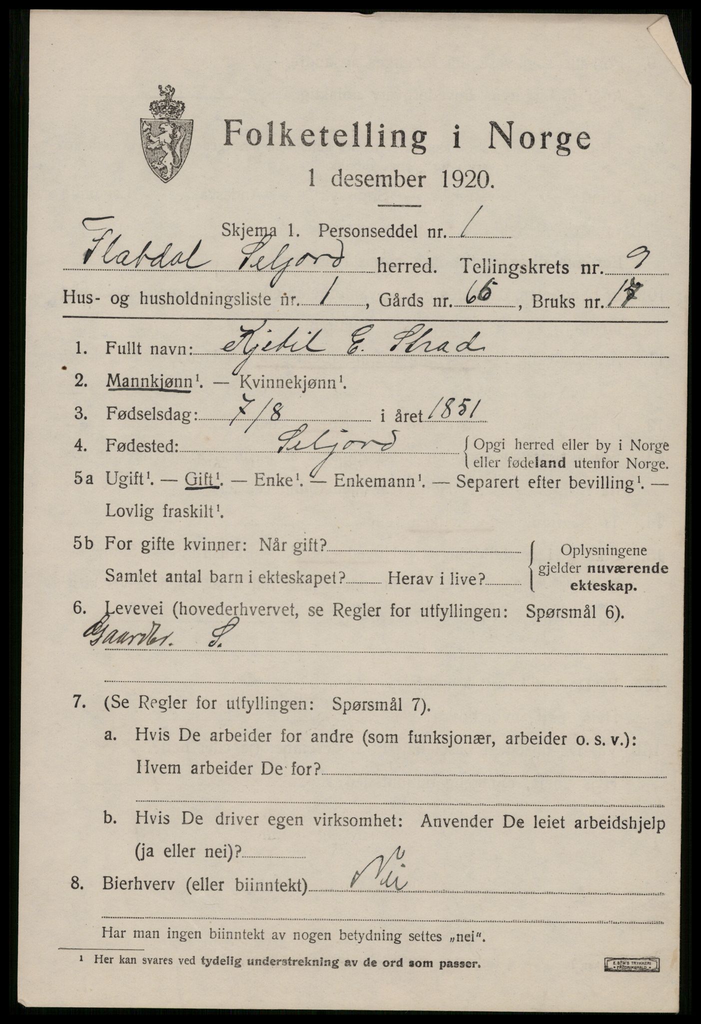 SAKO, 1920 census for Seljord, 1920, p. 4210