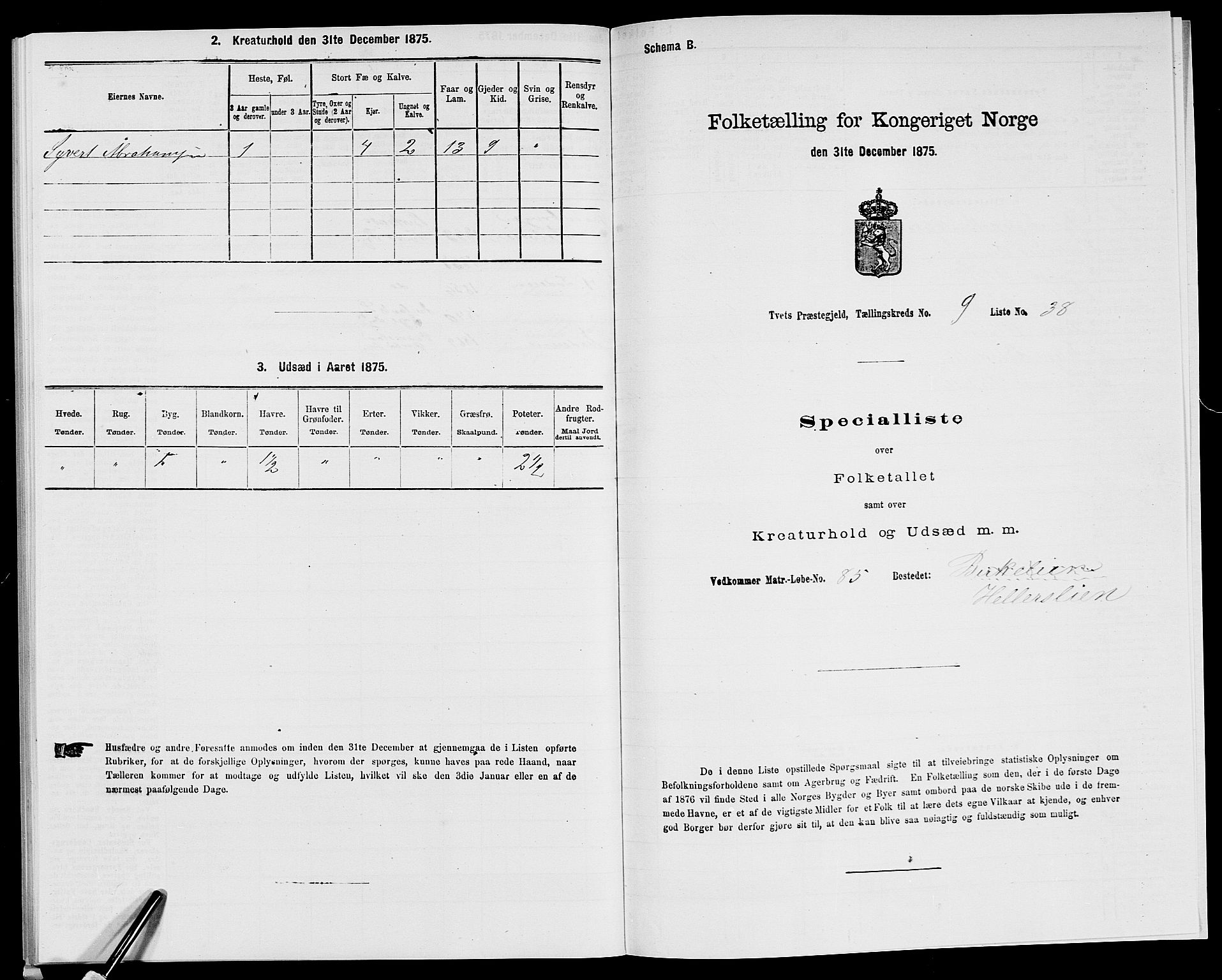 SAK, 1875 census for 1013P Tveit, 1875, p. 1181