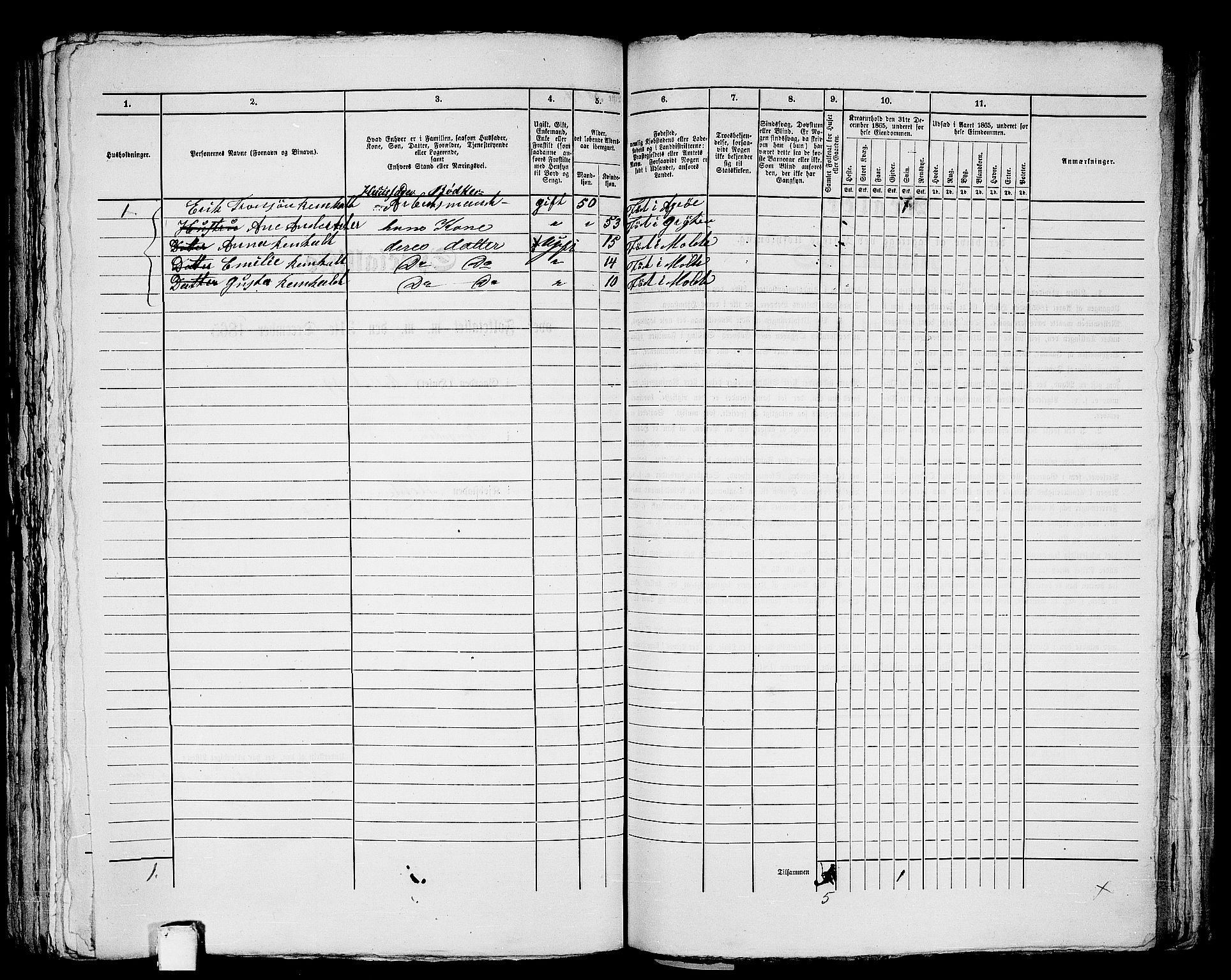 RA, 1865 census for Molde, 1865, p. 293