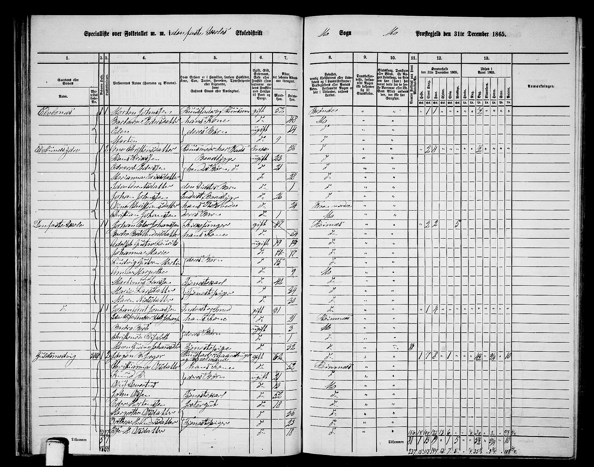 RA, 1865 census for Mo, 1865, p. 40