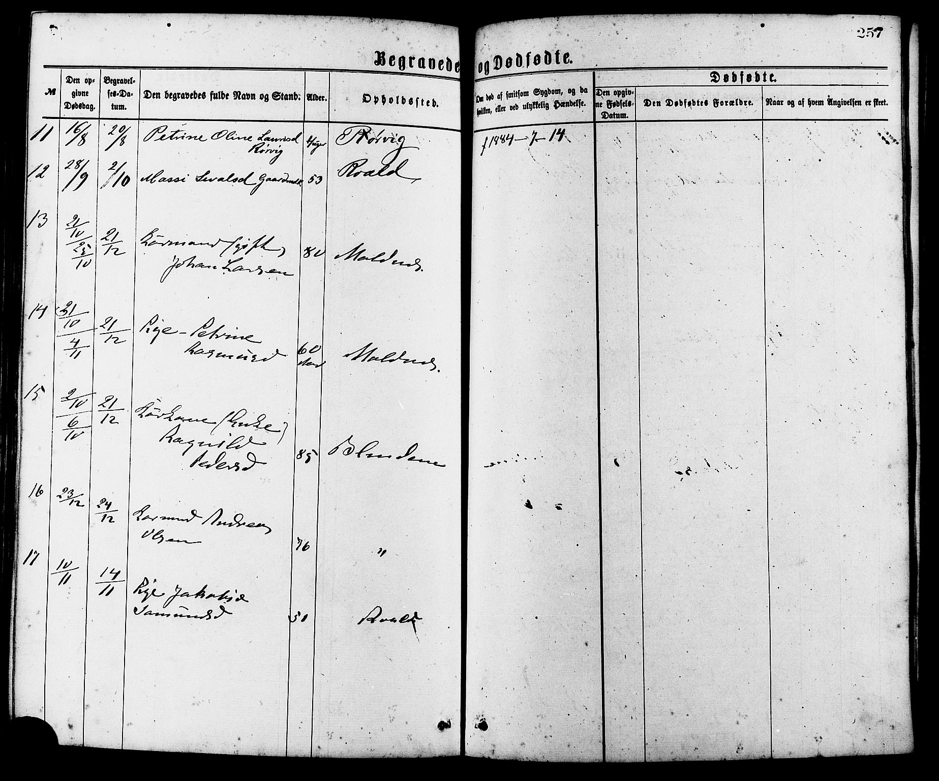 Ministerialprotokoller, klokkerbøker og fødselsregistre - Møre og Romsdal, AV/SAT-A-1454/537/L0519: Parish register (official) no. 537A03, 1876-1889, p. 257