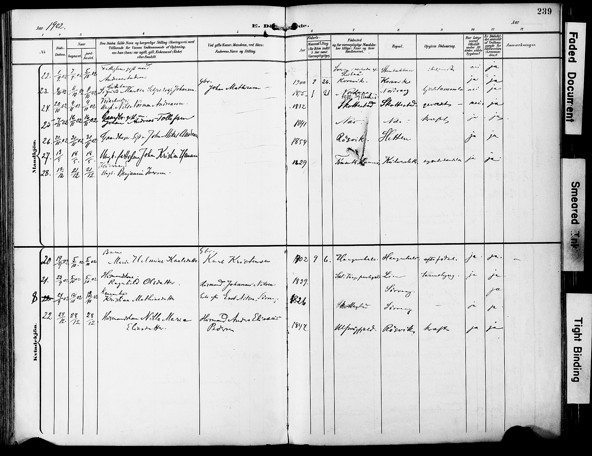 Ministerialprotokoller, klokkerbøker og fødselsregistre - Nordland, AV/SAT-A-1459/859/L0848: Parish register (official) no. 859A08, 1900-1912, p. 239
