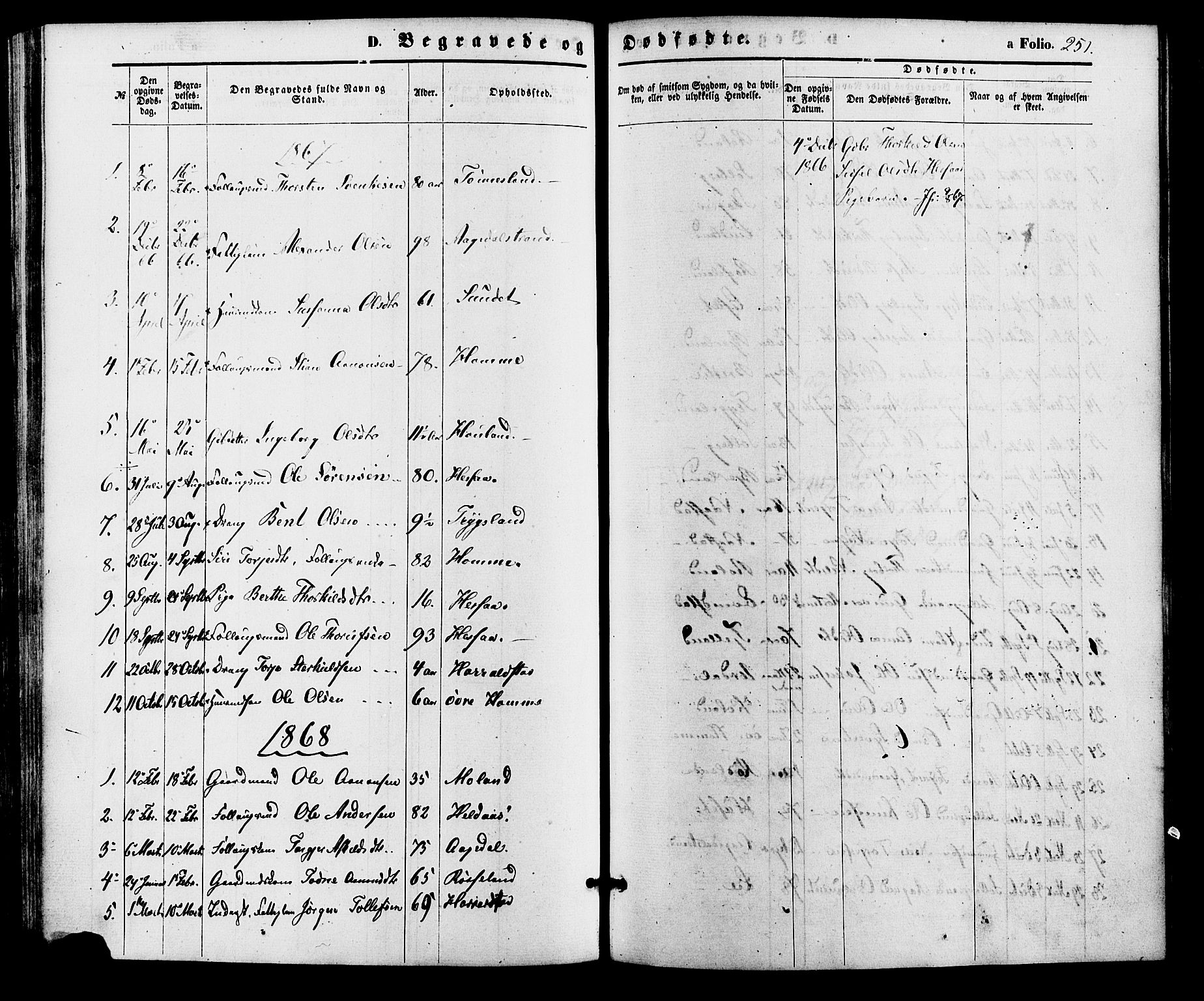 Bjelland sokneprestkontor, SAK/1111-0005/F/Fa/Faa/L0003: Parish register (official) no. A 3, 1867-1887, p. 251