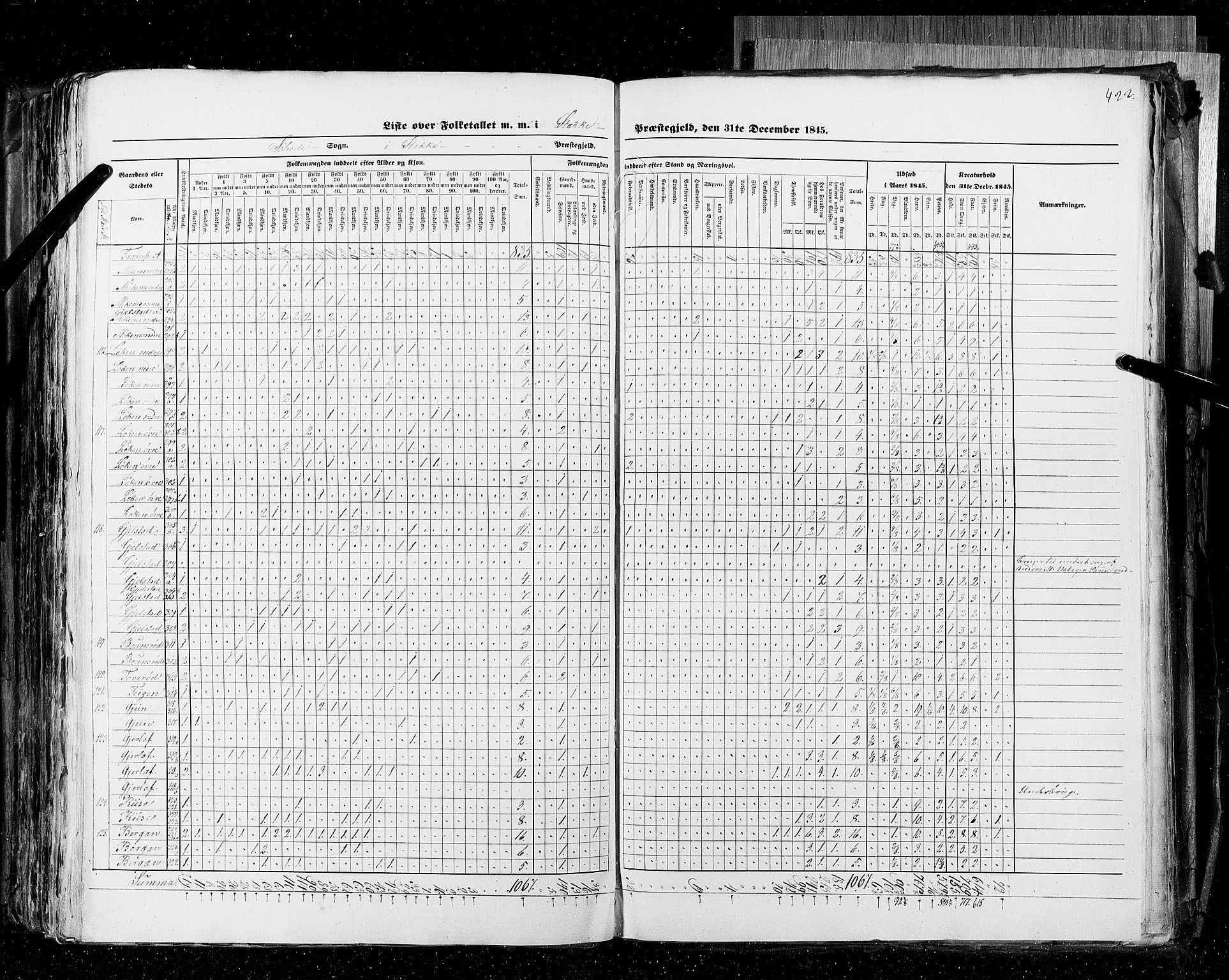 RA, Census 1845, vol. 4: Buskerud amt og Jarlsberg og Larvik amt, 1845, p. 422