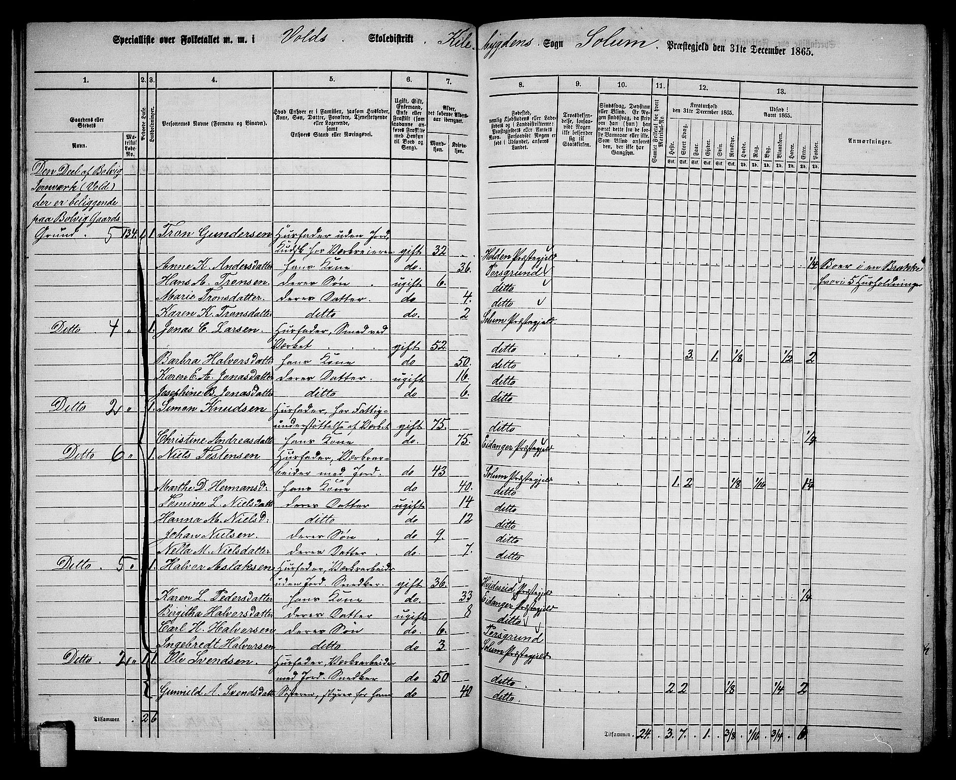 RA, 1865 census for Solum, 1865, p. 133