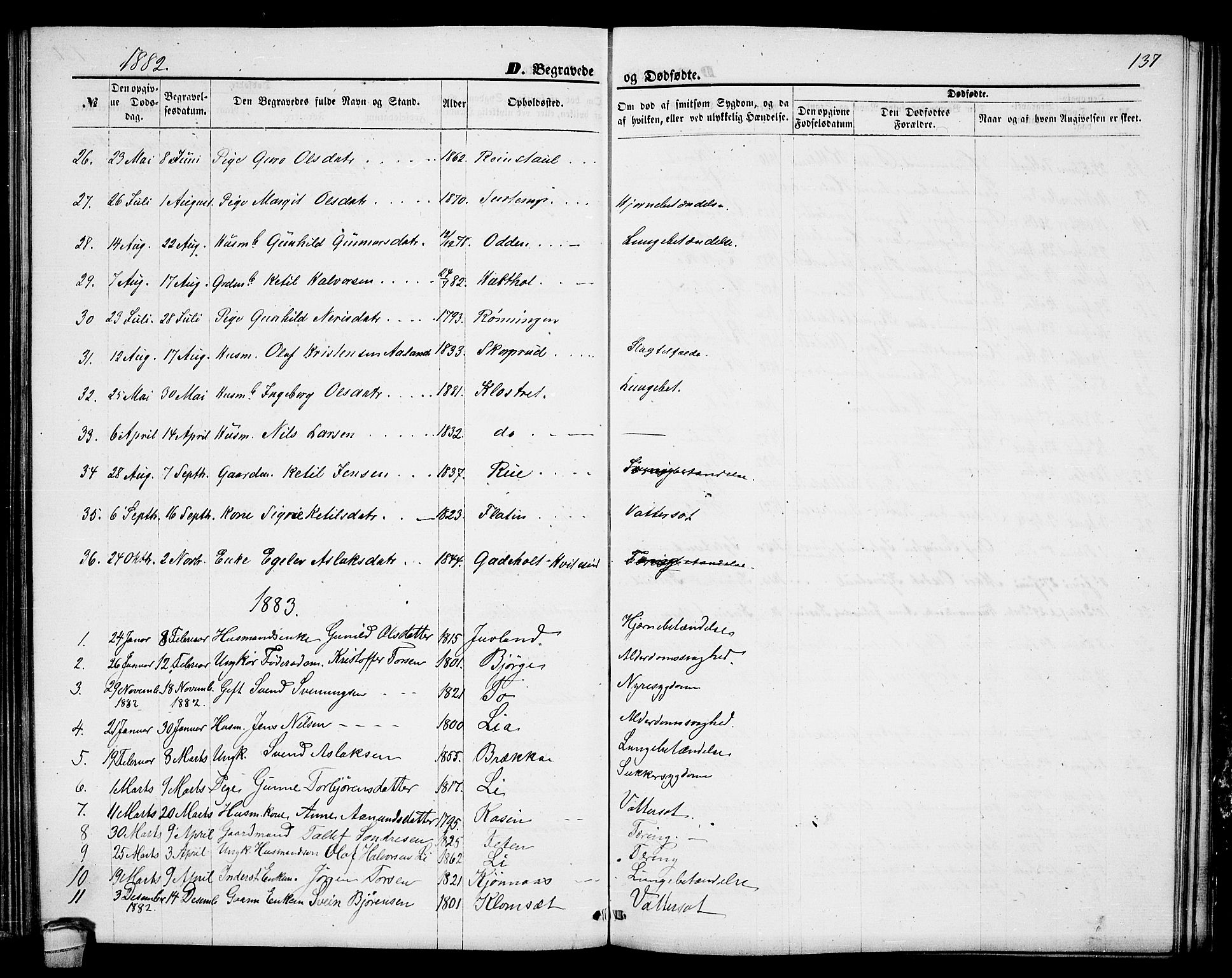 Seljord kirkebøker, SAKO/A-20/G/Ga/L0004: Parish register (copy) no. I 4, 1873-1886, p. 137