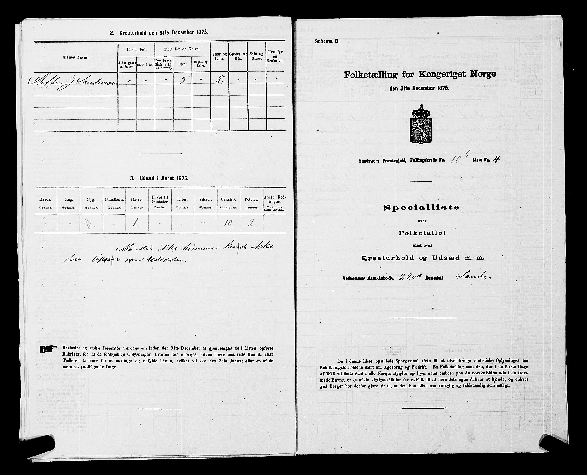 SAKO, 1875 census for 0629P Sandsvær, 1875, p. 1722