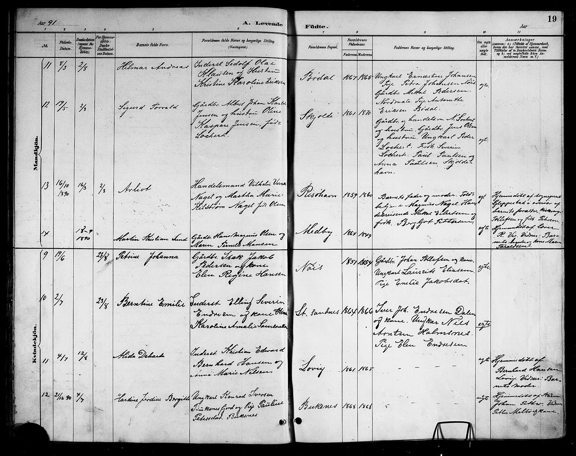 Ministerialprotokoller, klokkerbøker og fødselsregistre - Nordland, AV/SAT-A-1459/898/L1427: Parish register (copy) no. 898C02, 1887-1917, p. 19