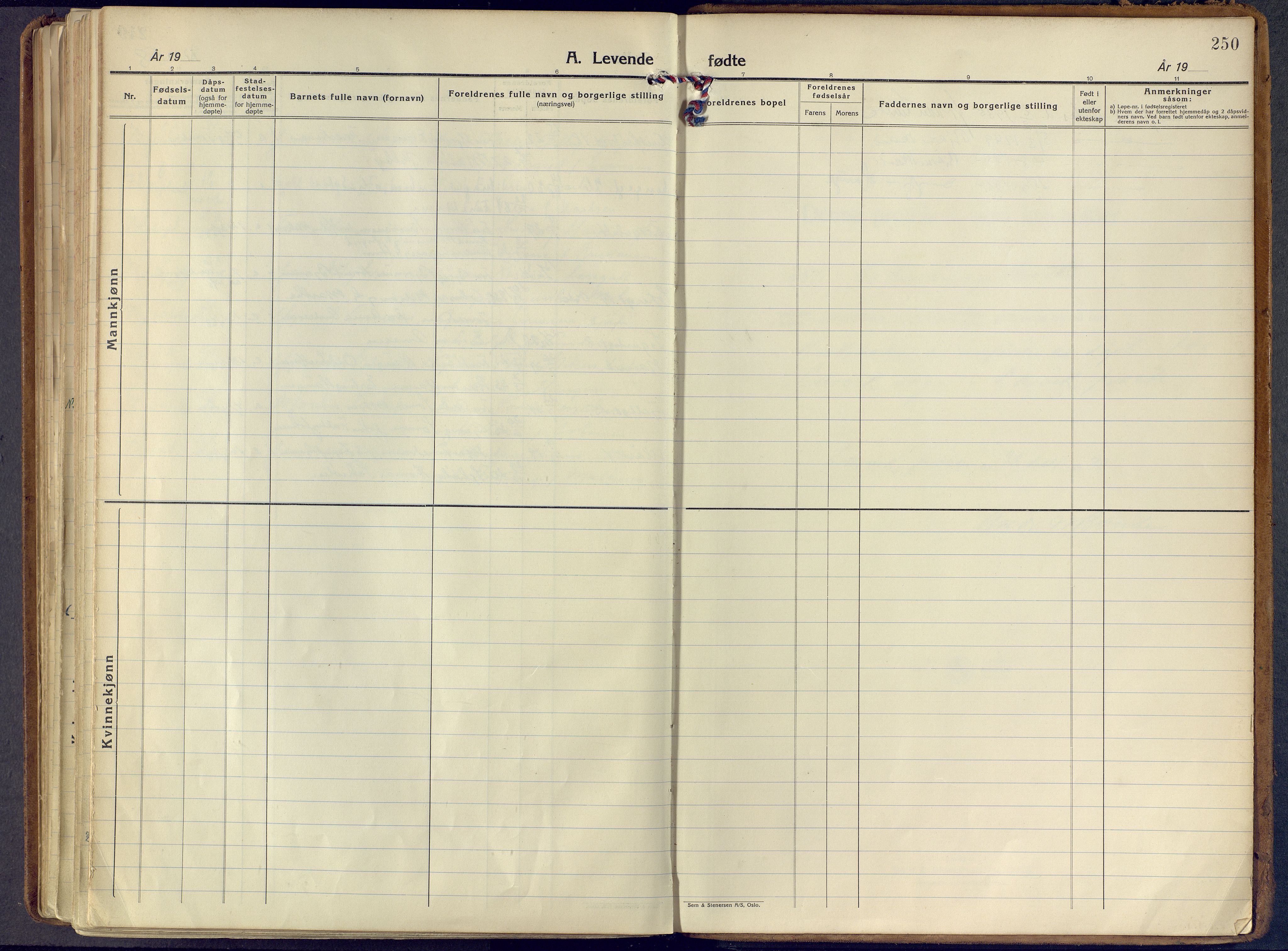 Larvik kirkebøker, AV/SAKO-A-352/F/Fa/L0014: Parish register (official) no. I 14, 1934-1958, p. 250