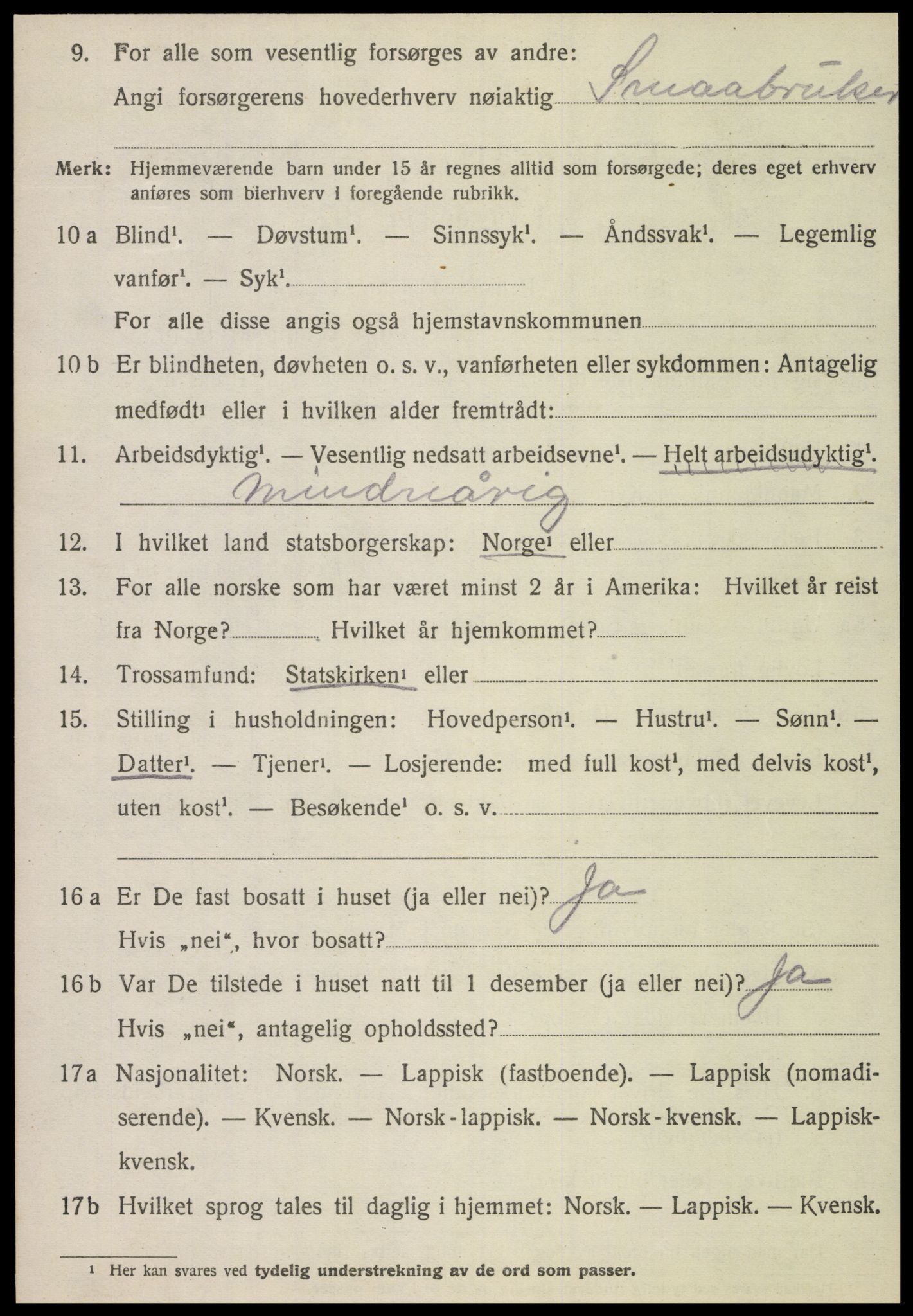 SAT, 1920 census for Høylandet, 1920, p. 2217