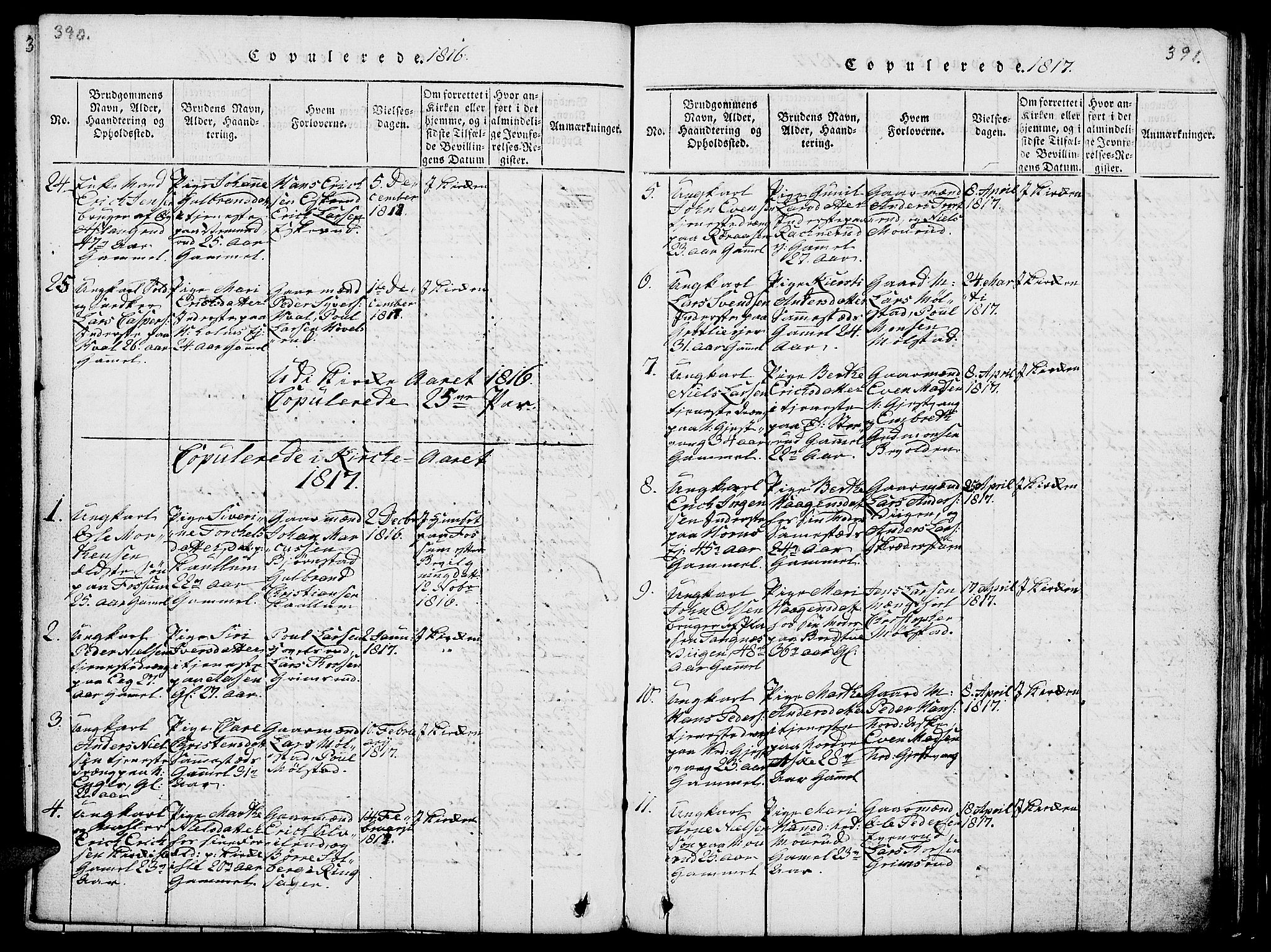 Nes prestekontor, Hedmark, AV/SAH-PREST-020/L/La/L0003: Parish register (copy) no. 3, 1814-1831, p. 390-391