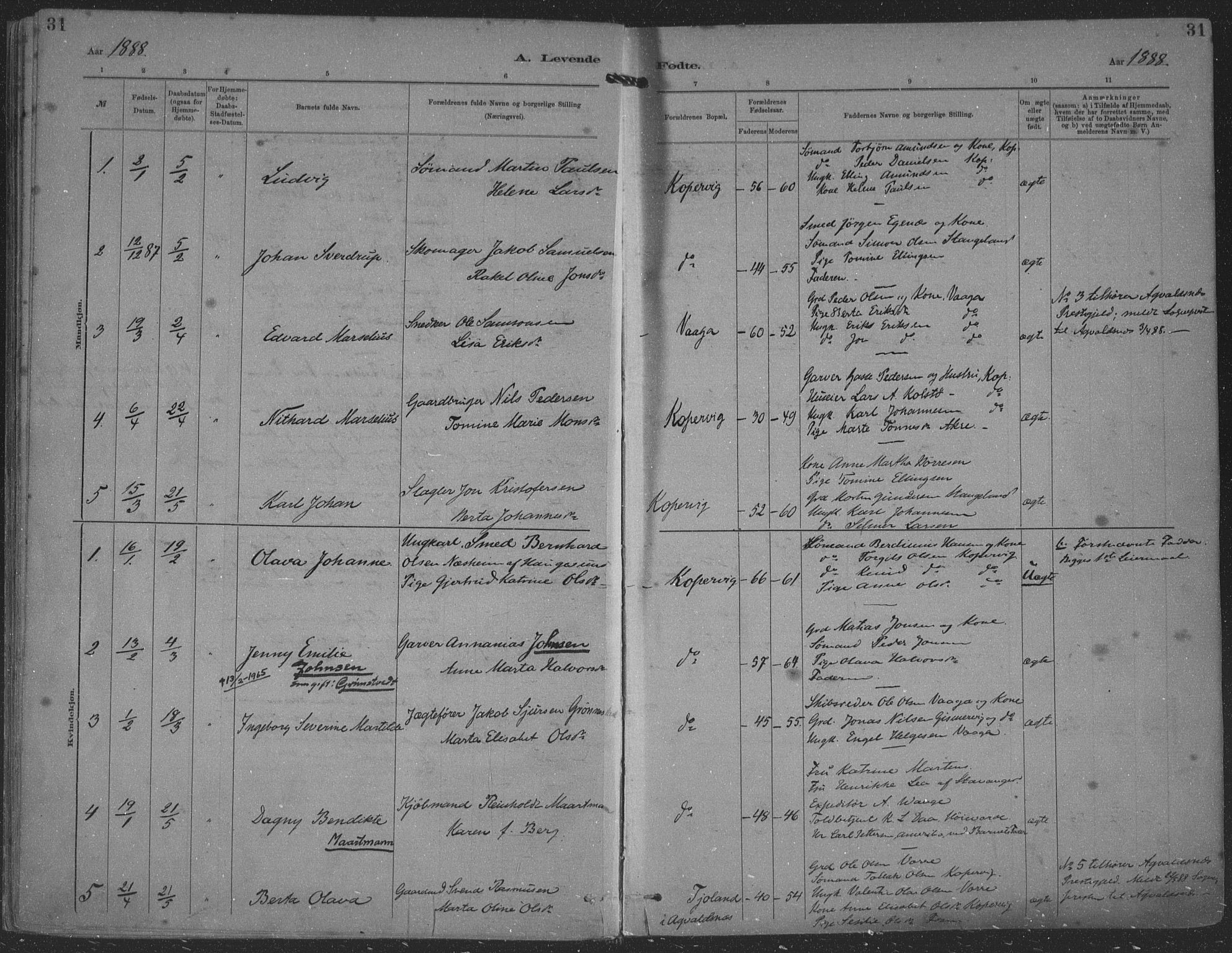 Kopervik sokneprestkontor, SAST/A-101850/H/Ha/Haa/L0001: Parish register (official) no. A 1, 1880-1919, p. 31