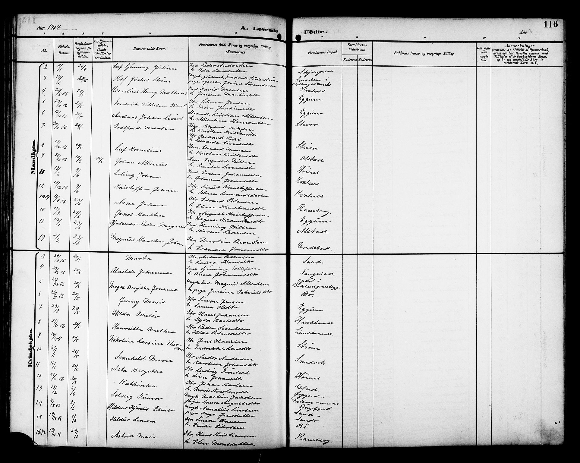 Ministerialprotokoller, klokkerbøker og fødselsregistre - Nordland, AV/SAT-A-1459/880/L1141: Parish register (copy) no. 880C03, 1893-1928, p. 116