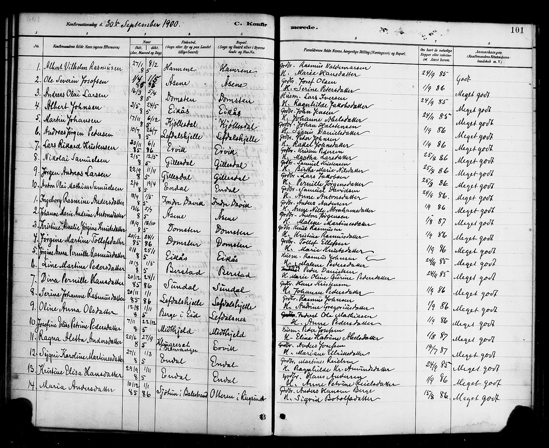 Davik sokneprestembete, AV/SAB-A-79701/H/Haa/Haab/L0001: Parish register (official) no. B 1, 1882-1900, p. 101